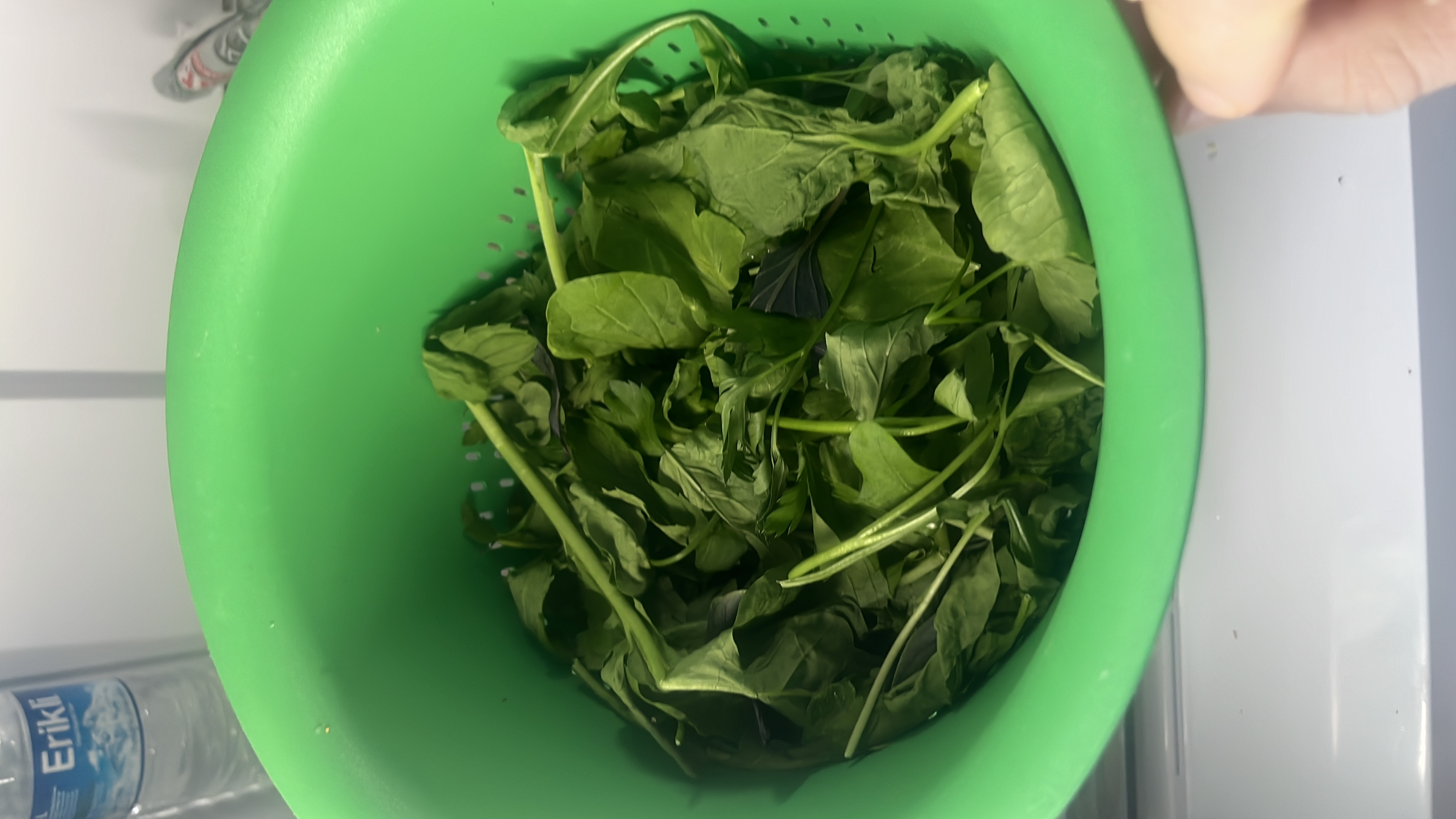 The image shows fresh spinach leaves, which are low in calories and rich in nutrients like protein and carbohydrates, making it a healthy food choice.