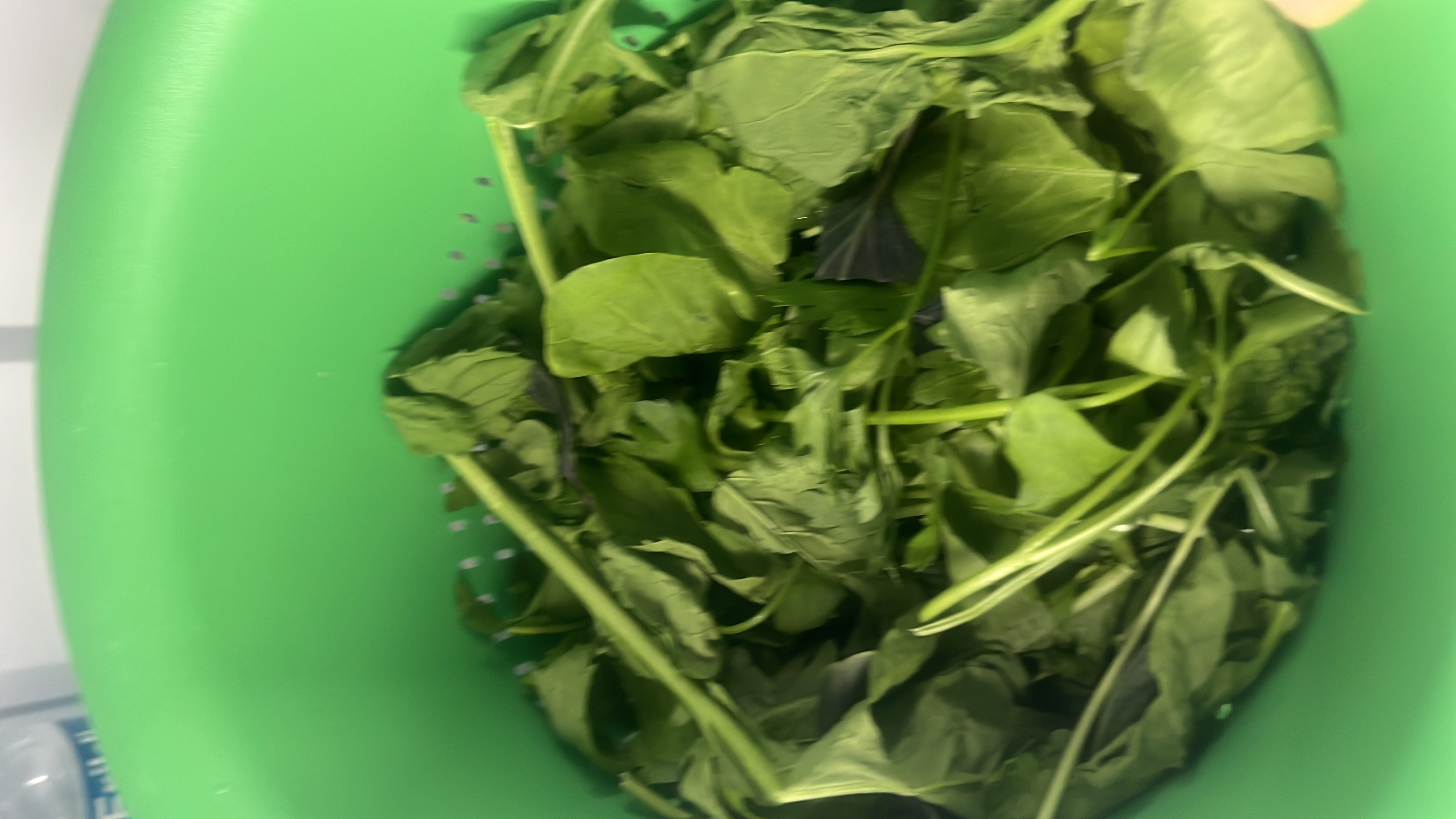 The image shows fresh spinach leaves, which are low in calories and rich in nutrients like protein and carbohydrates, making it a healthy food choice.