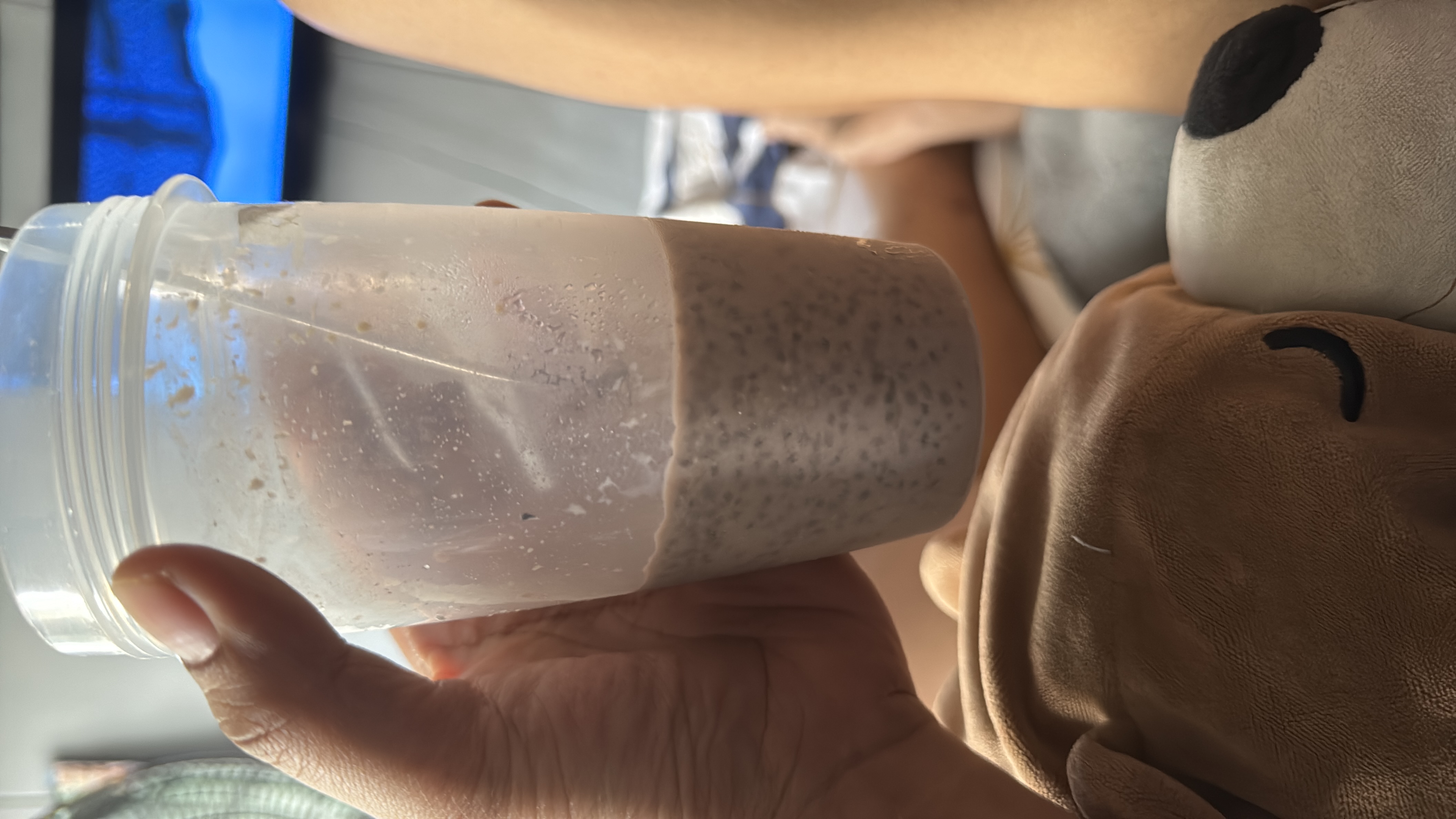 A nutritious chia seed pudding made with almond milk, cocoa powder, and honey, providing a balanced mix of protein, carbs, and fats.