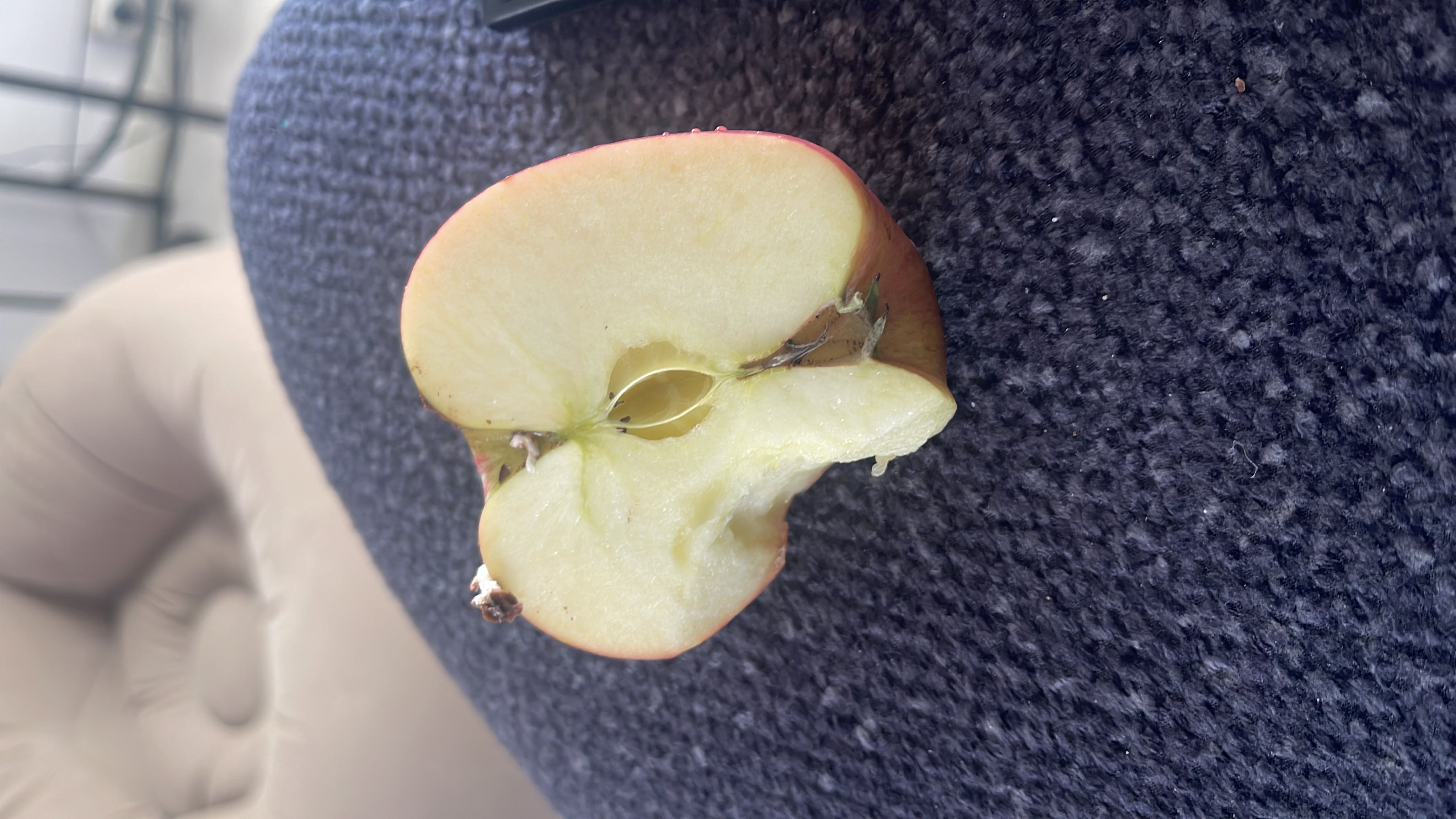 The image shows a halved apple, which is a nutritious fruit low in calories and fats, and high in carbohydrates.