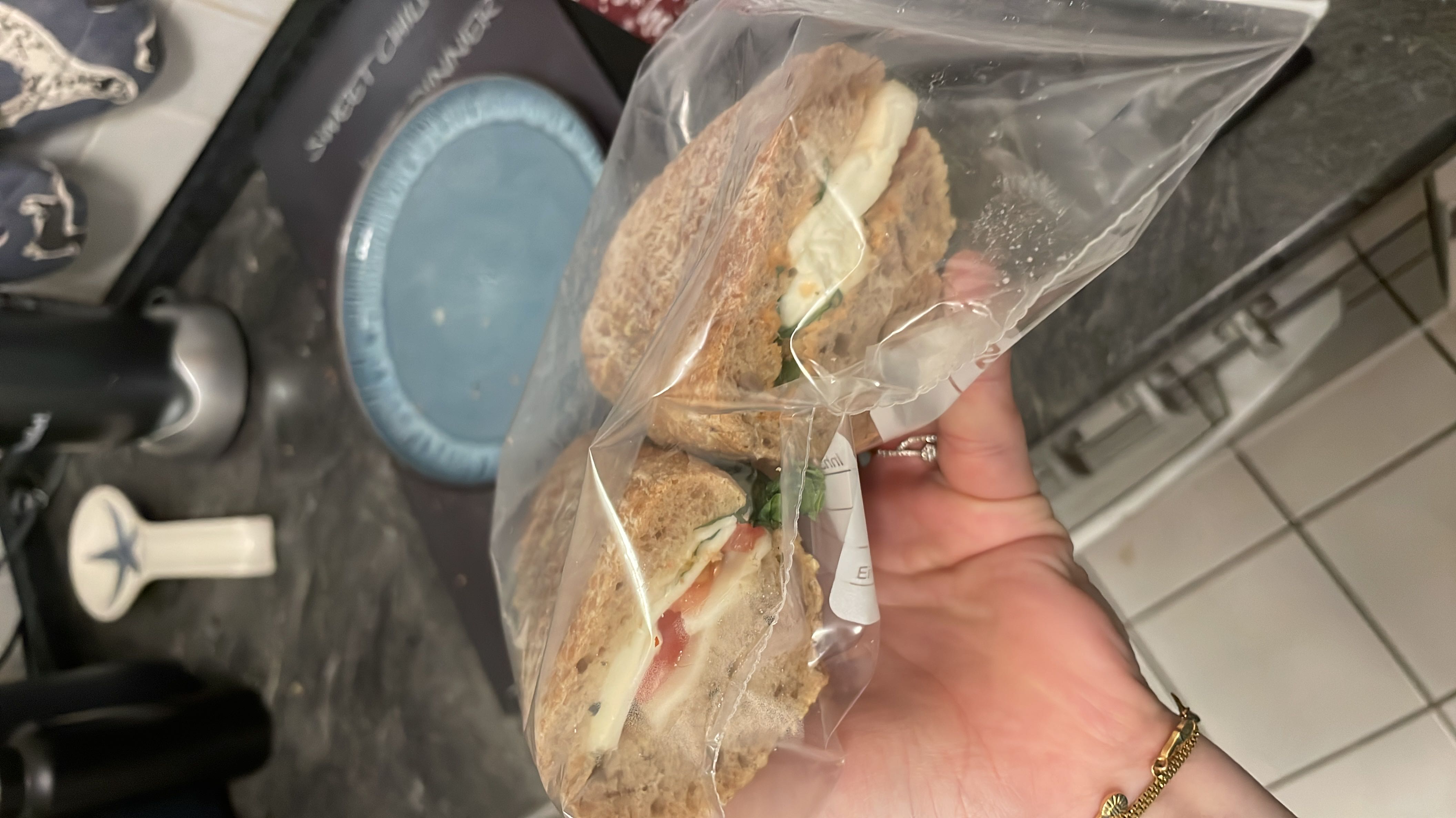 A simple whole wheat sandwich filled with mozzarella cheese, tomato, and basil.