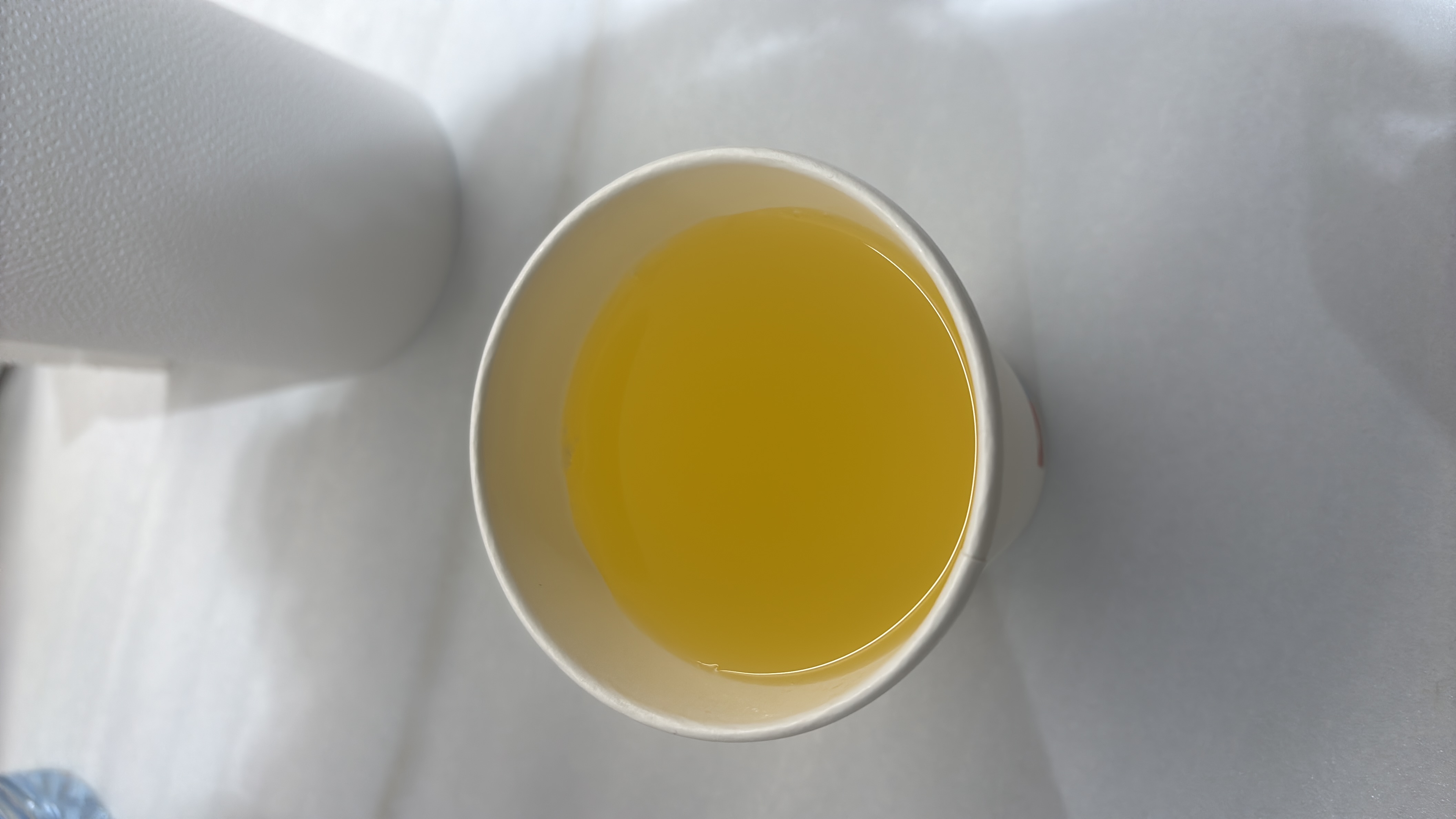 A warm cup of tea with minimal calories.