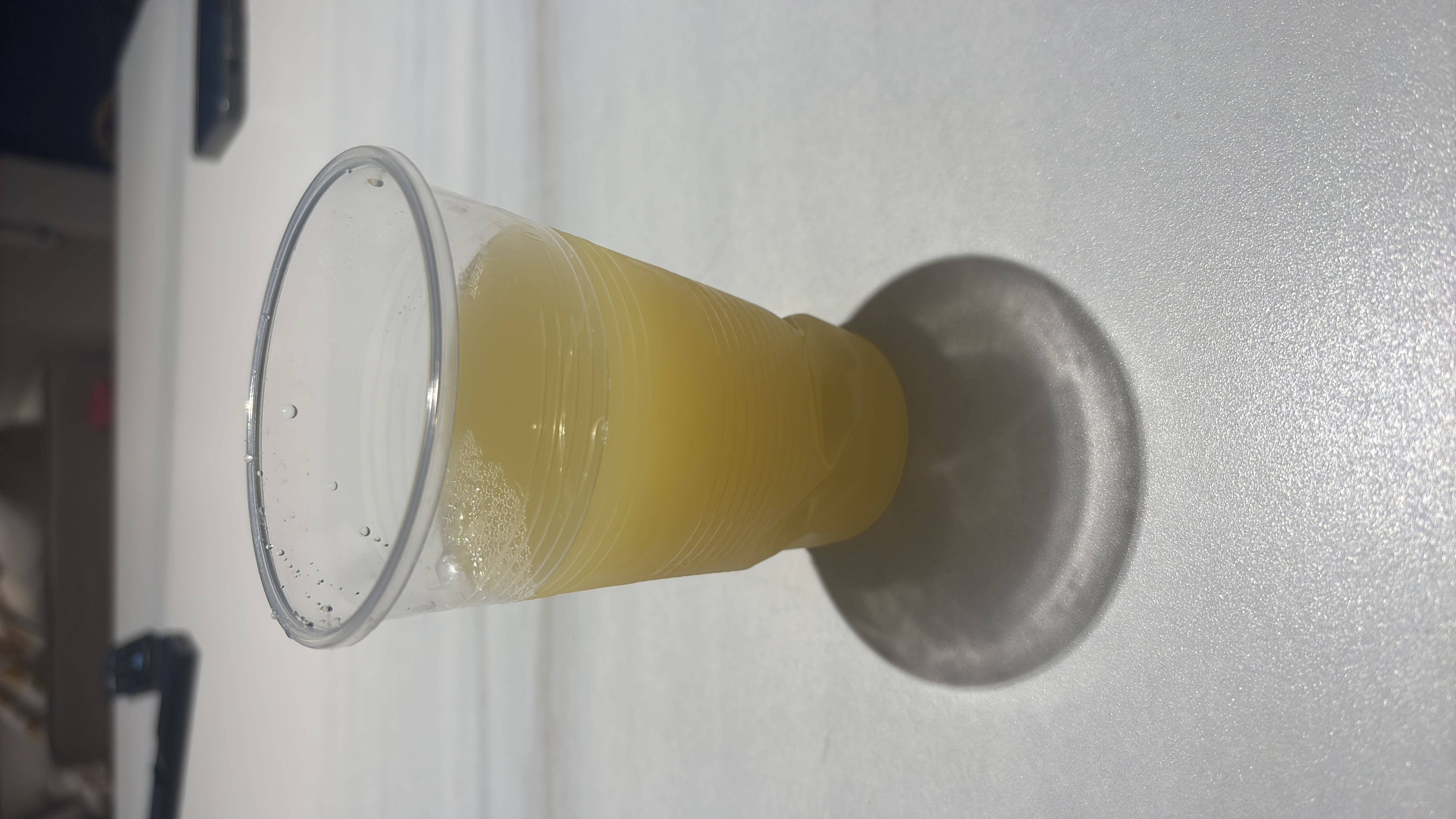 A plastic cup containing a cloudy, light yellow fruit beverage with a slightly tangy taste.