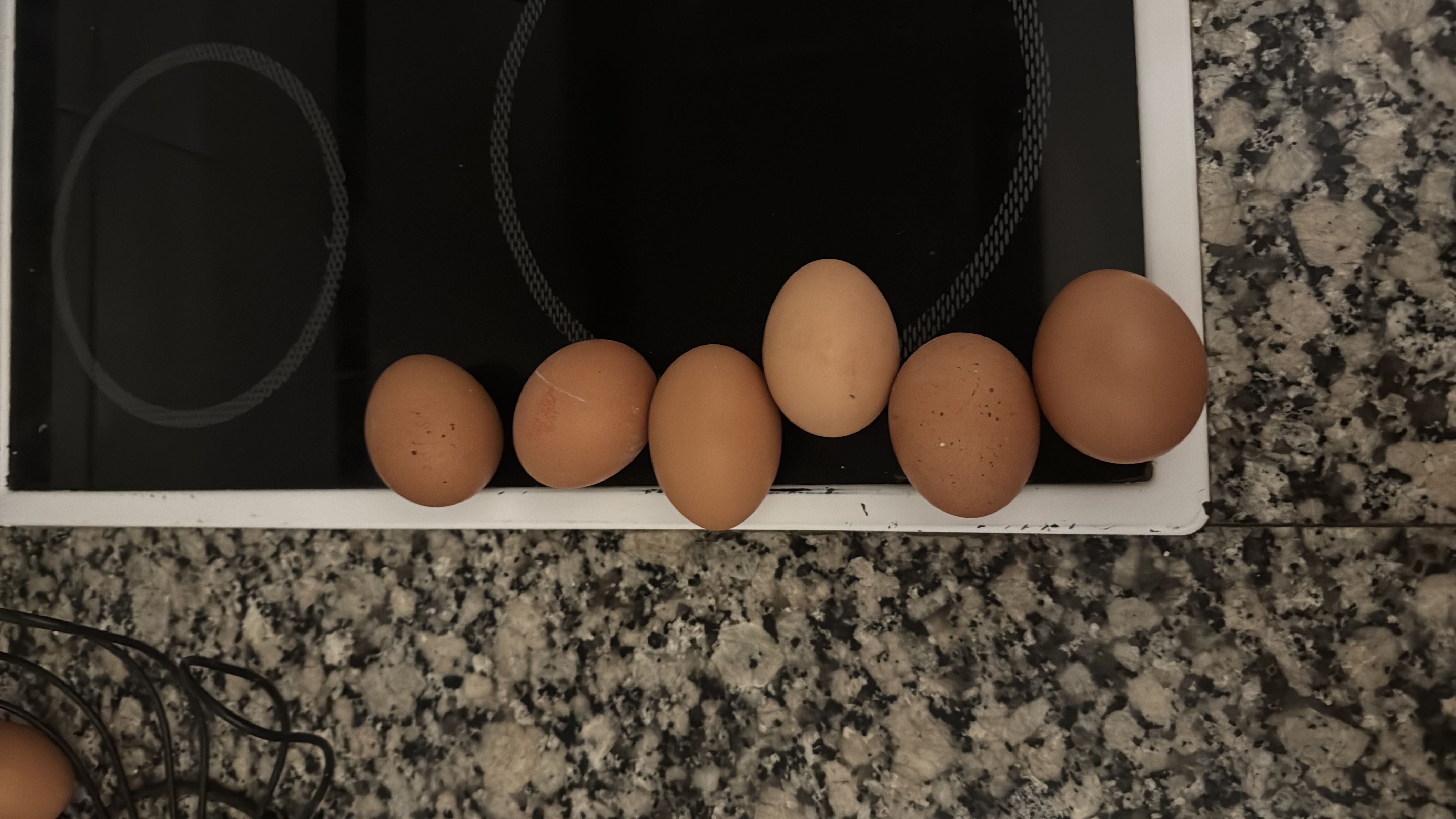 Six brown eggs with moderate protein, low carbs and healthy fats.