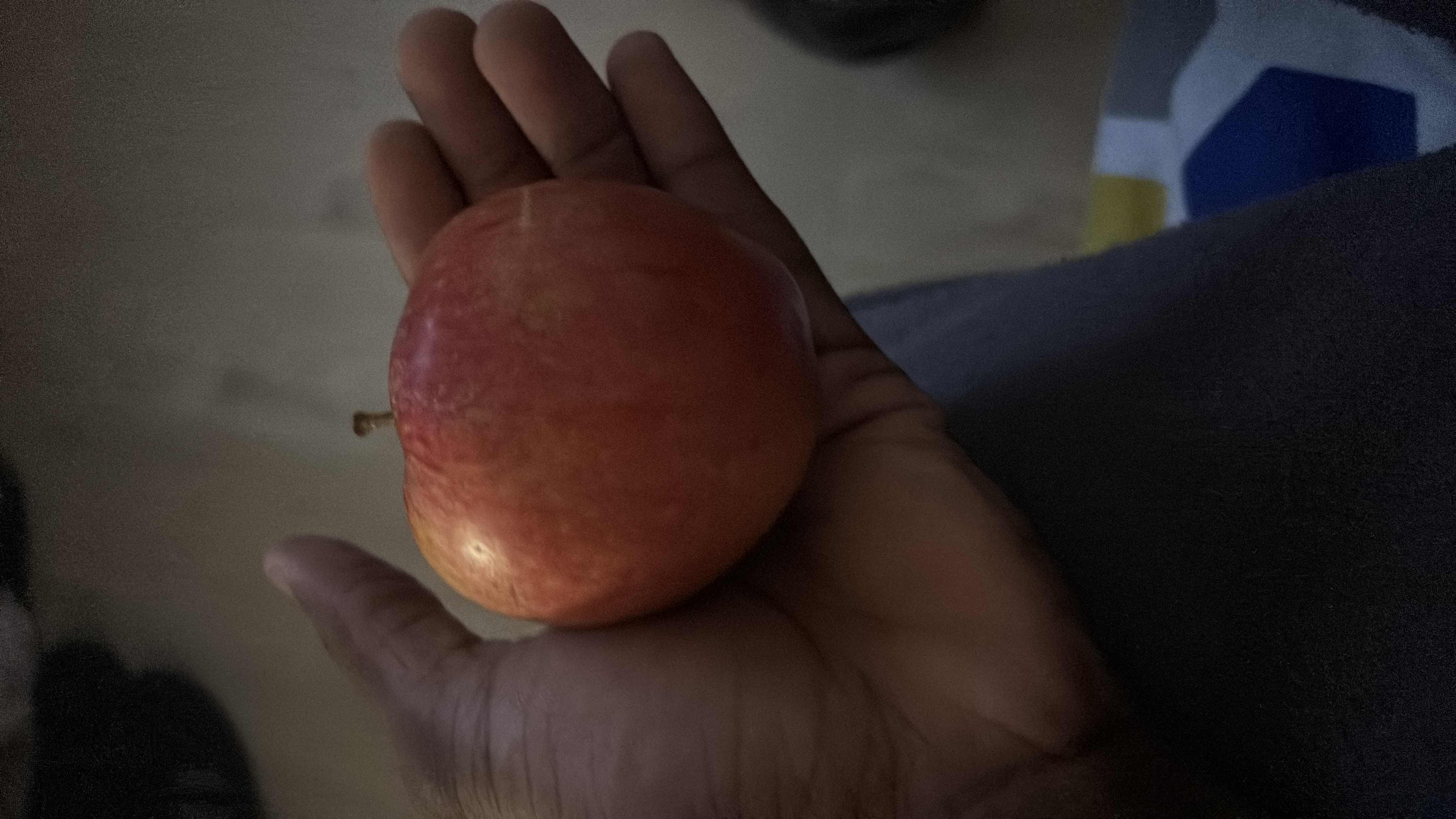 A single red apple, low in fat and moderate in carbohydrates.