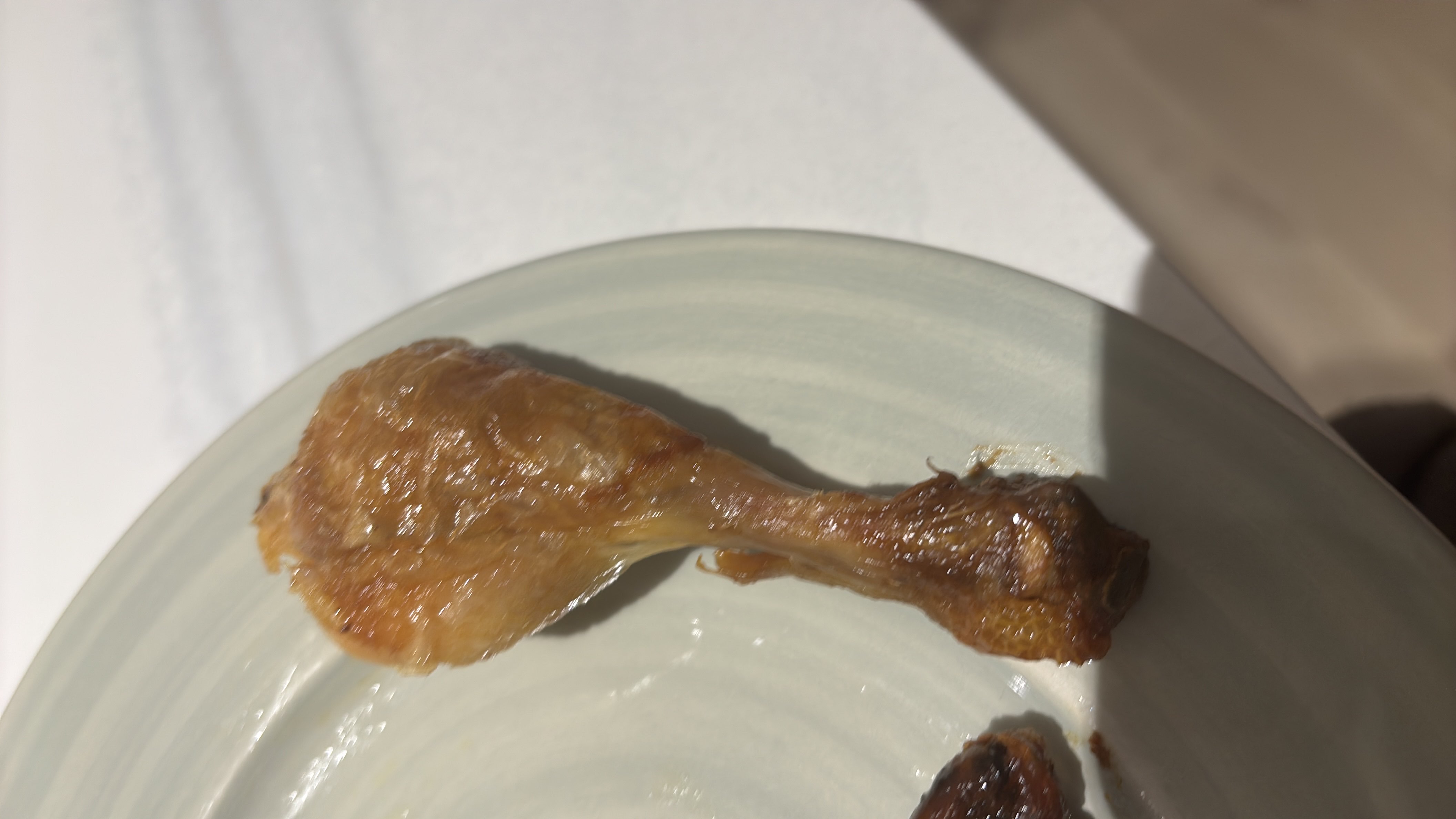 A roasted chicken drumstick, high in protein and moderate in fats, with no carbohydrates.