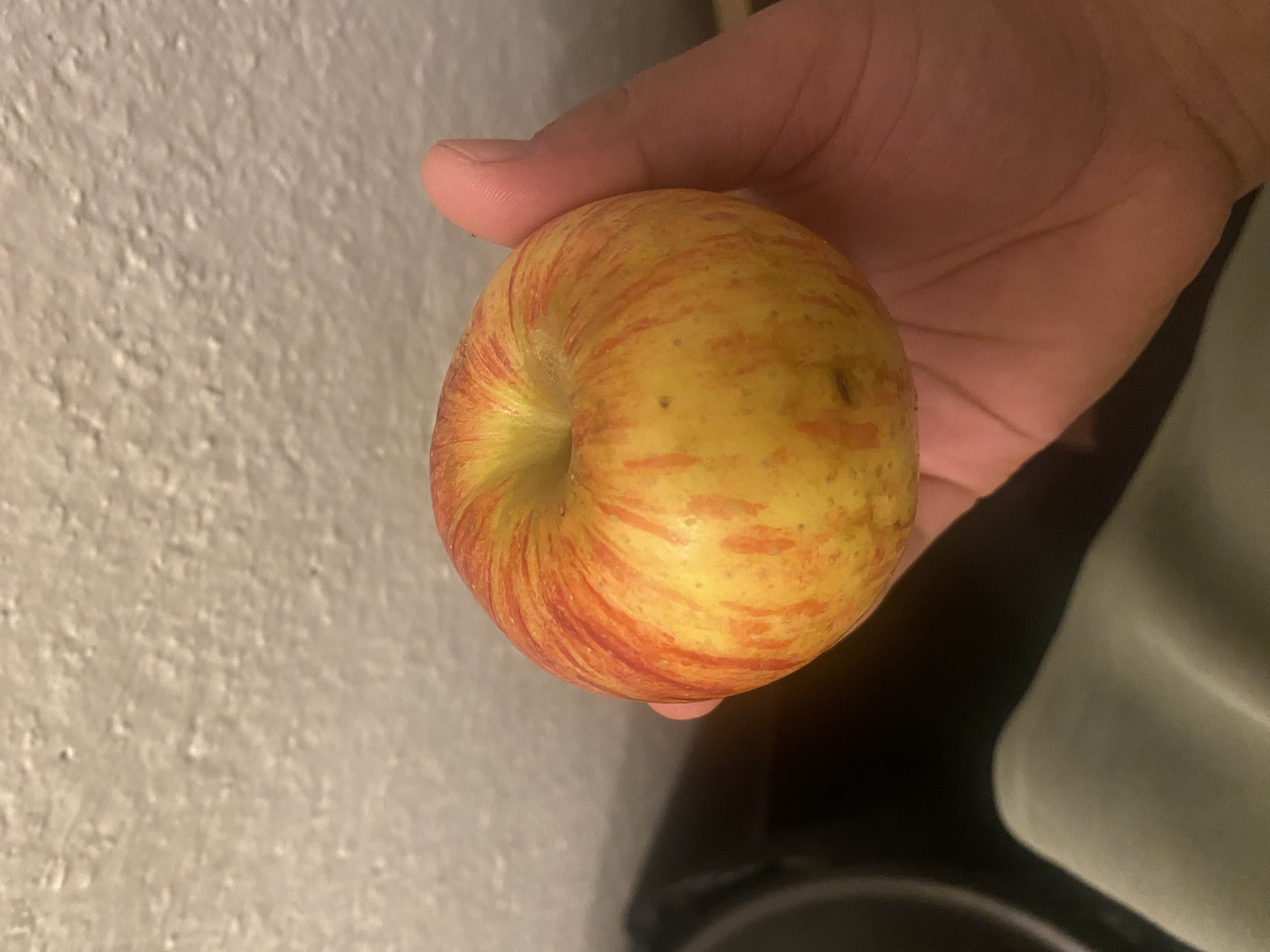 The image shows a fresh apple, which is a nutritious fruit rich in carbohydrates and low in fats and protein.