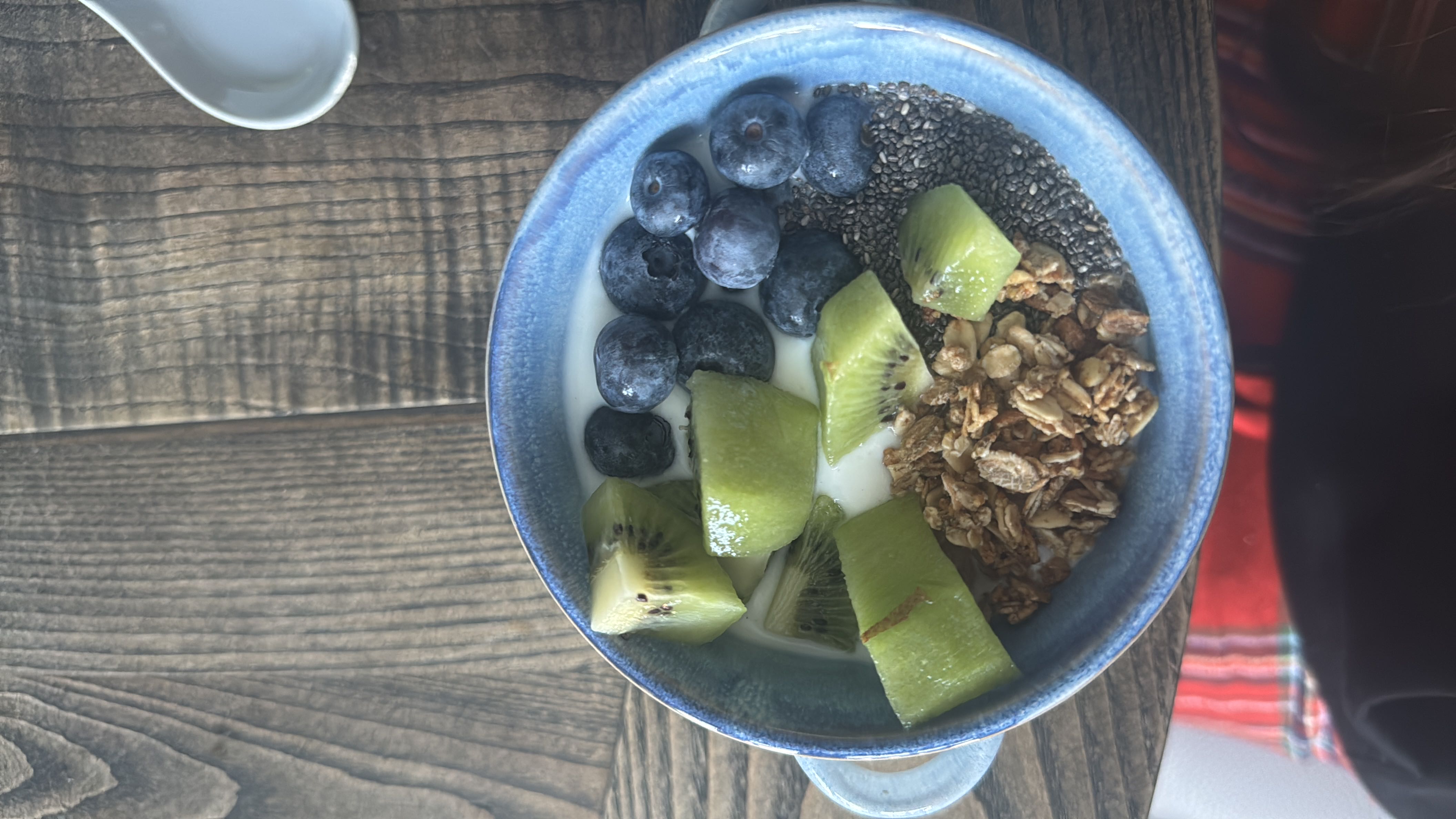 A nutritious bowl containing yogurt, kiwi, blueberries, chia seeds, and granola, offering a balanced mix of protein, carbs, and healthy fats.
