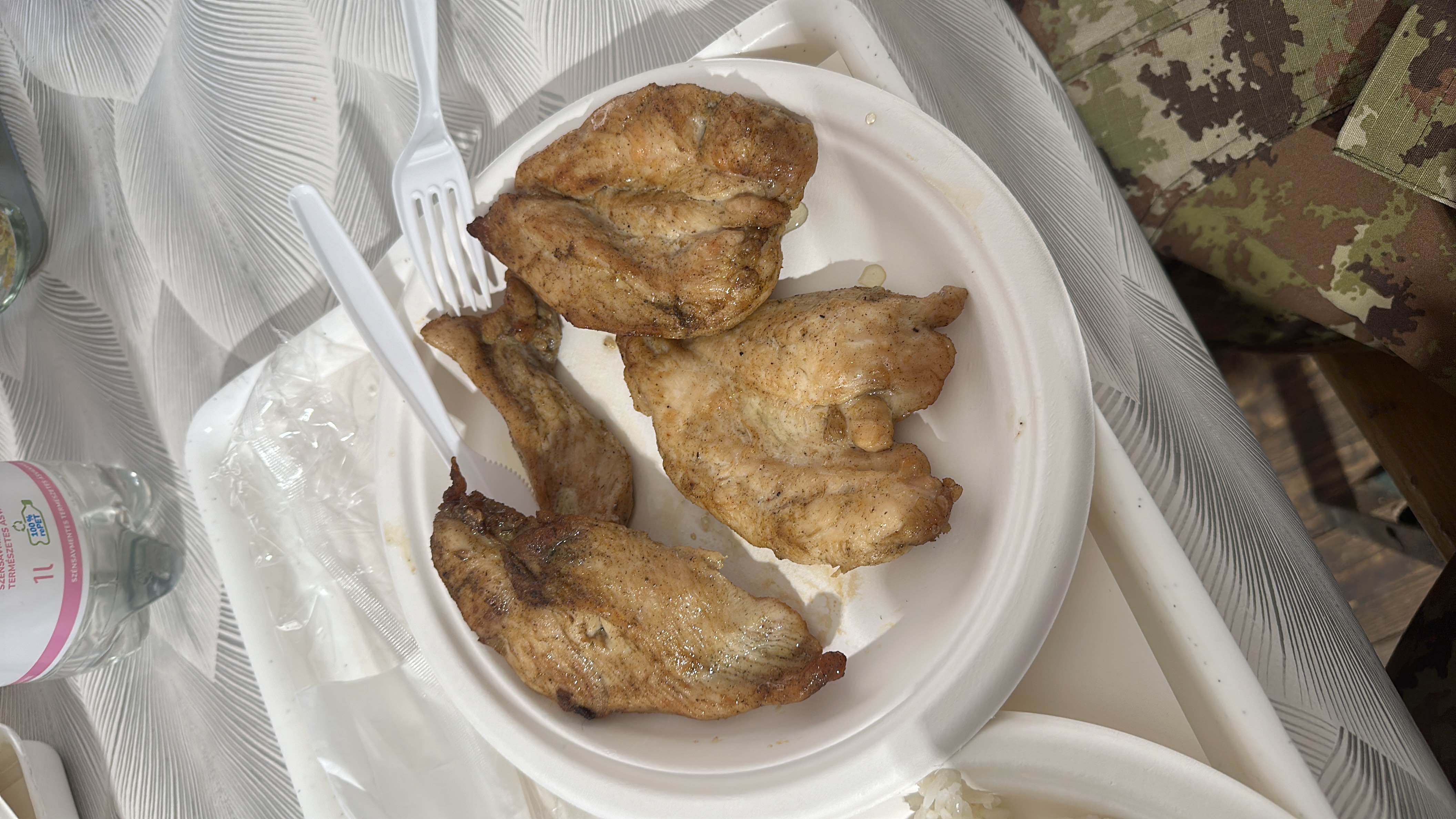 The image shows a plate of grilled chicken breast, a high-protein, low-carb meal option.