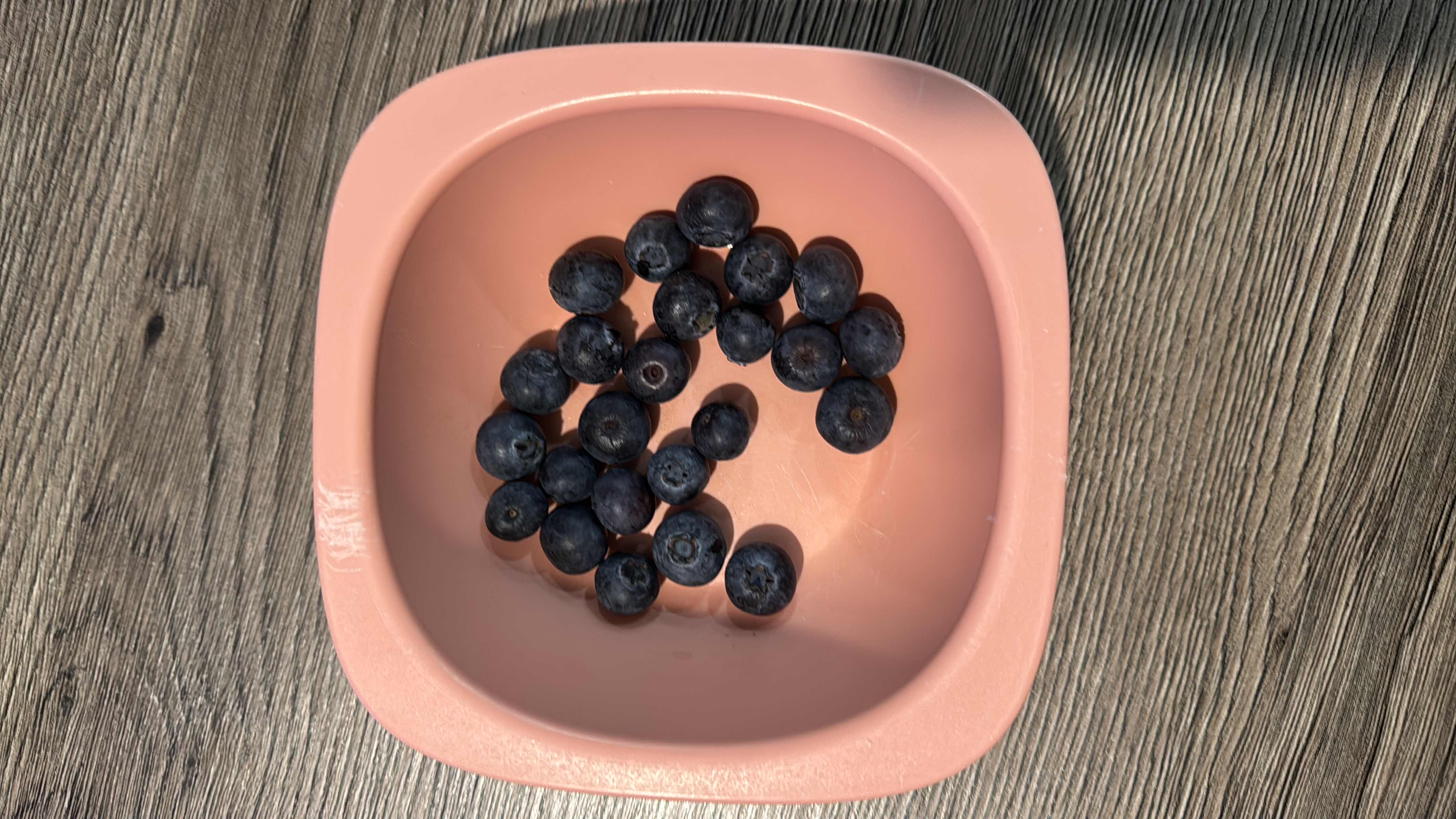 A bowl of fresh blueberries, a low-calorie fruit rich in antioxidants and nutrients.