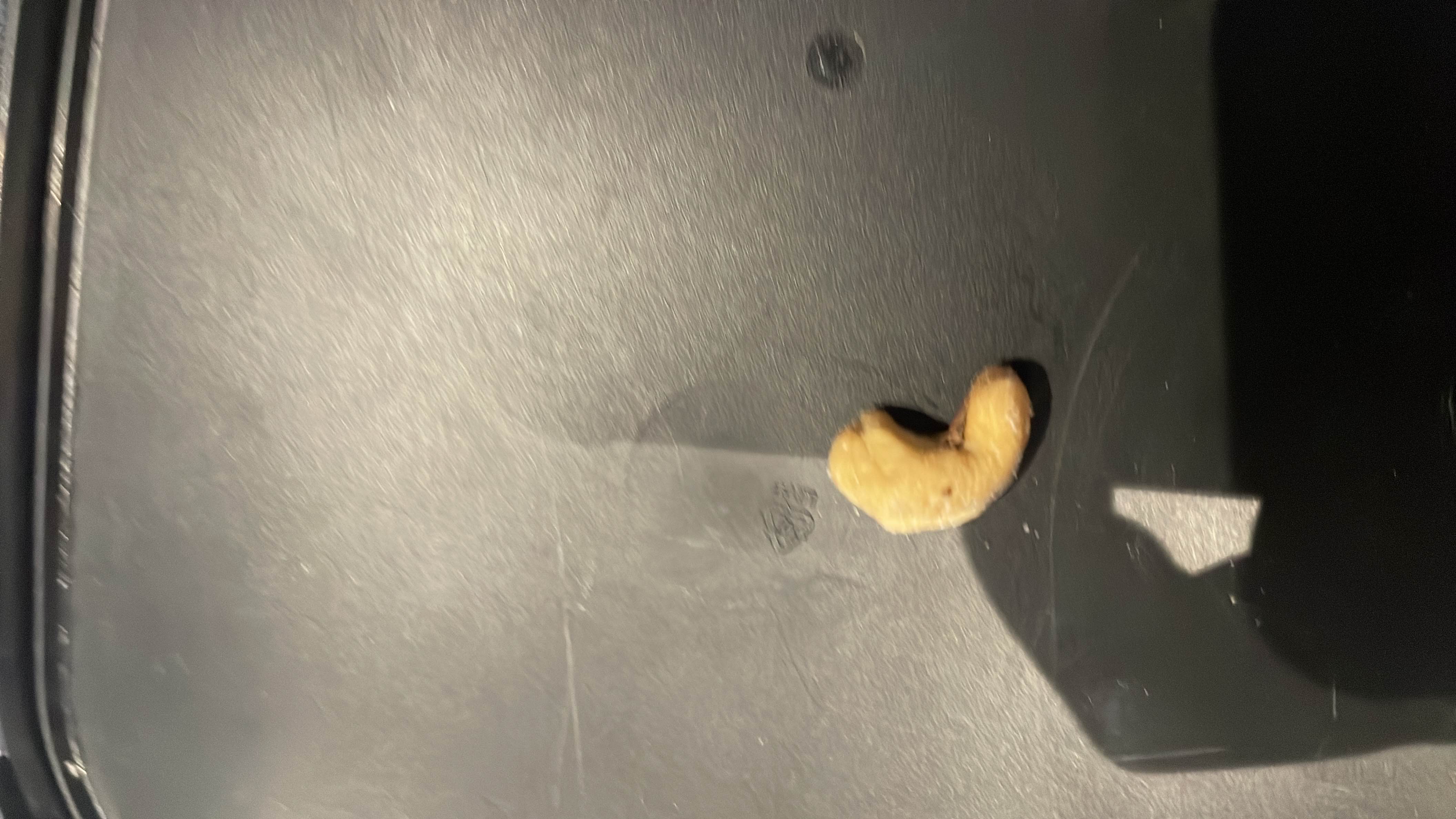 A single cashew nut, which is a nutrient-dense snack, providing a small amount of calories, fats, and carbs.