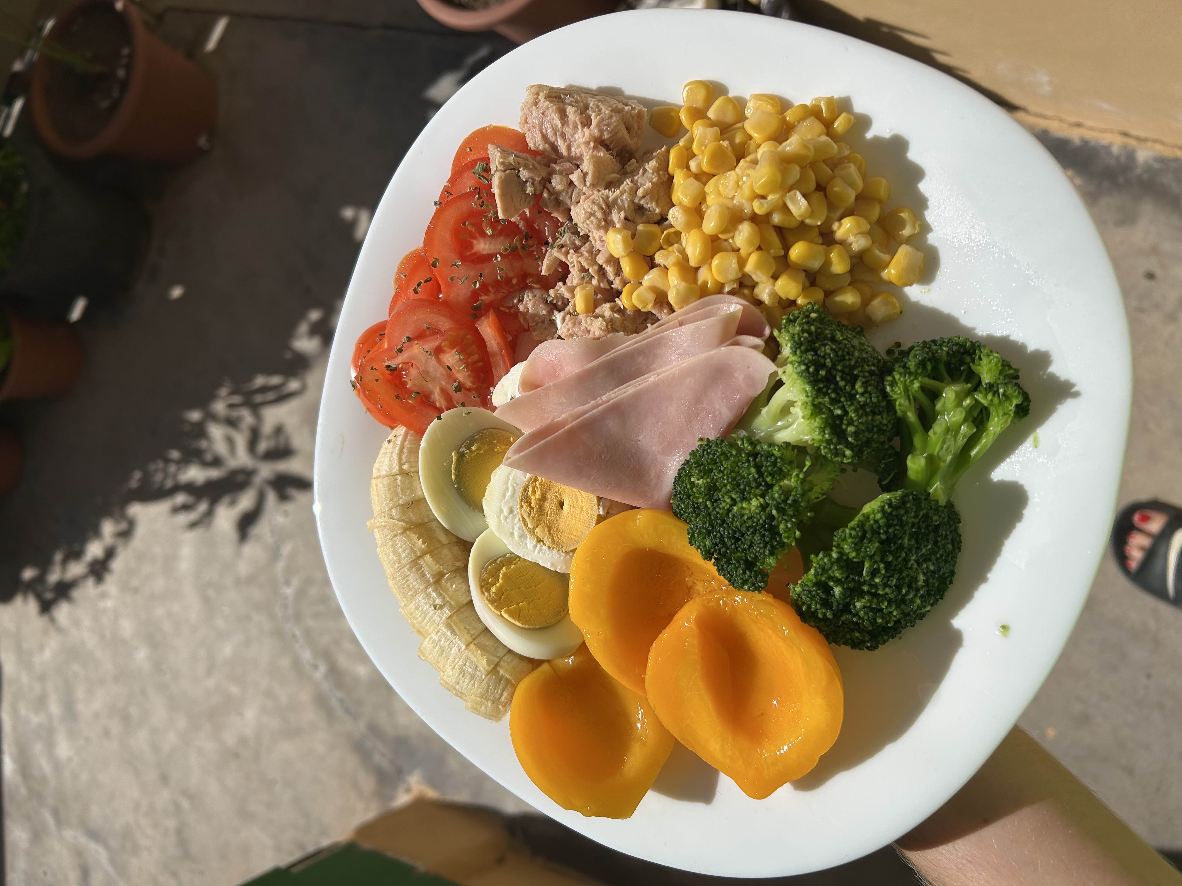 A balanced plate containing fruits, vegetables, protein, and healthy carbs, ideal for a nutritious meal.