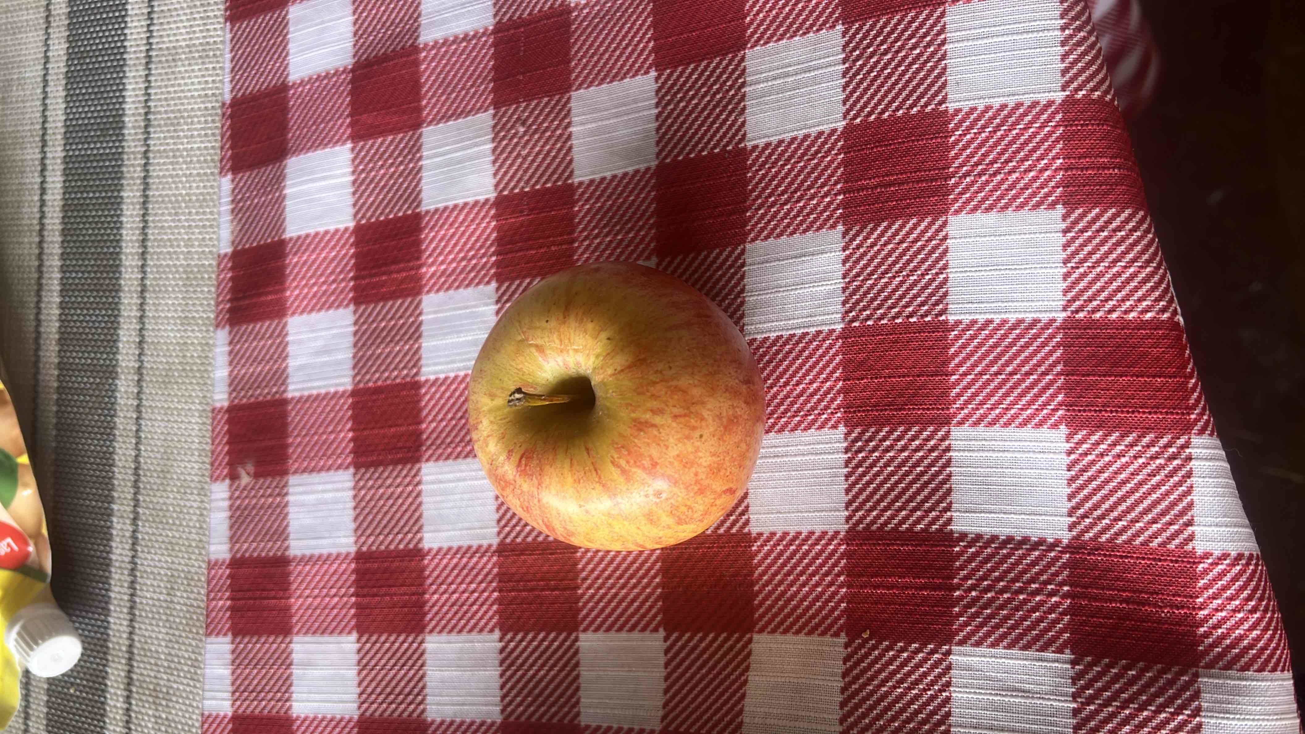 The image shows a single apple, which is a healthy fruit rich in carbohydrates and low in fats and protein.