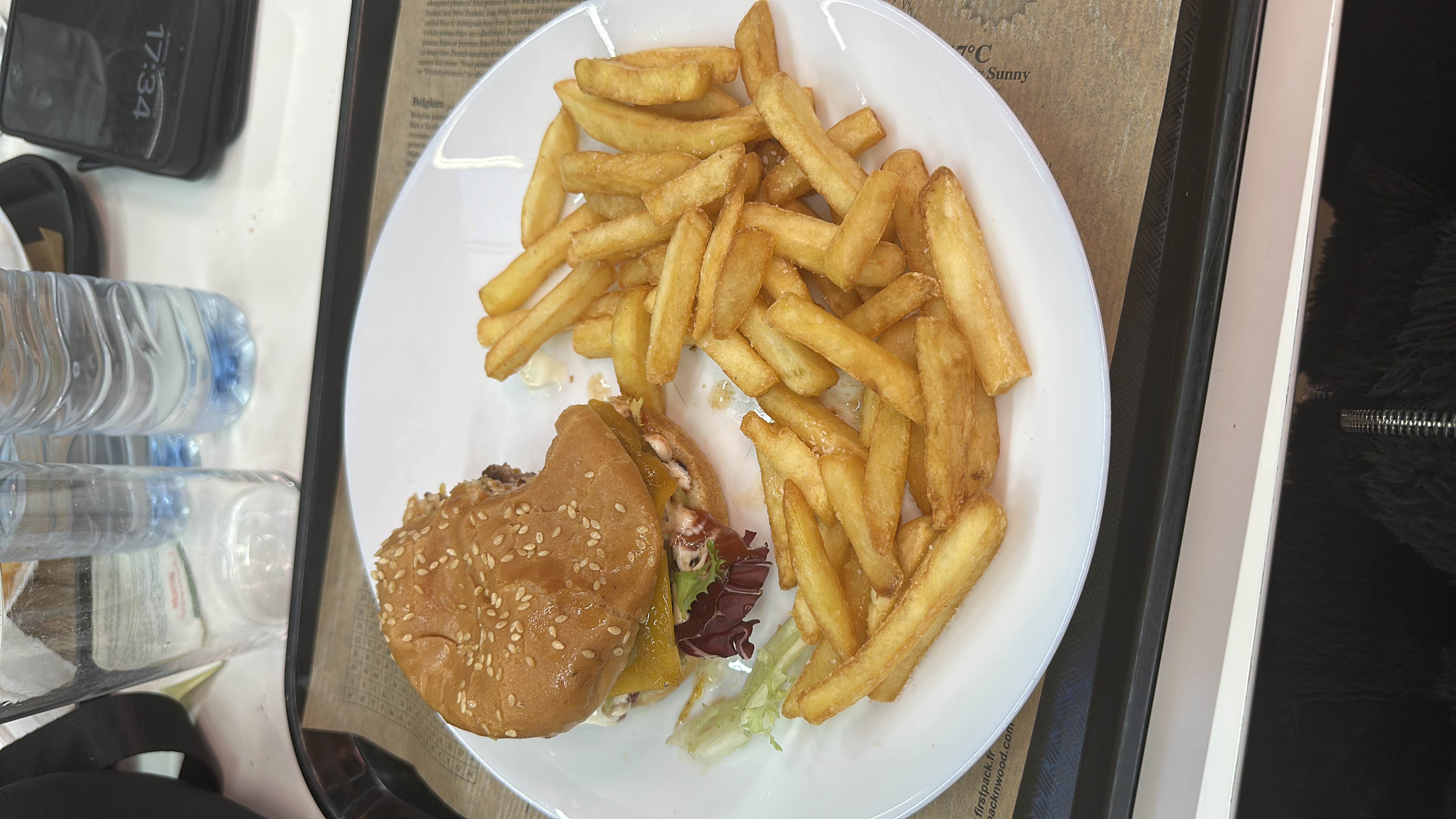 A plate containing a cheeseburger with lettuce and a side of French fries.