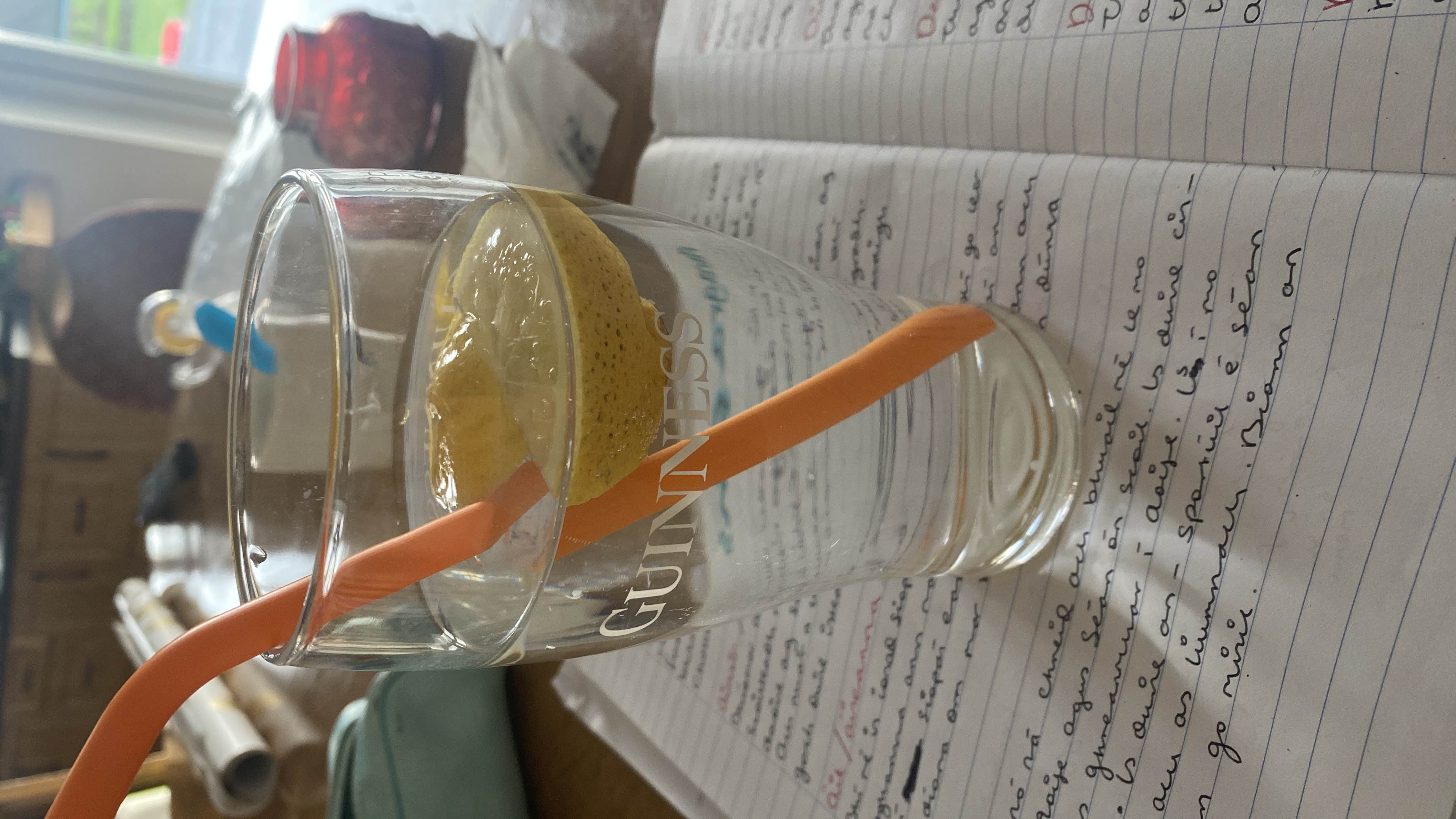 A glass of water with half a lemon, providing low calories and a refreshing taste.