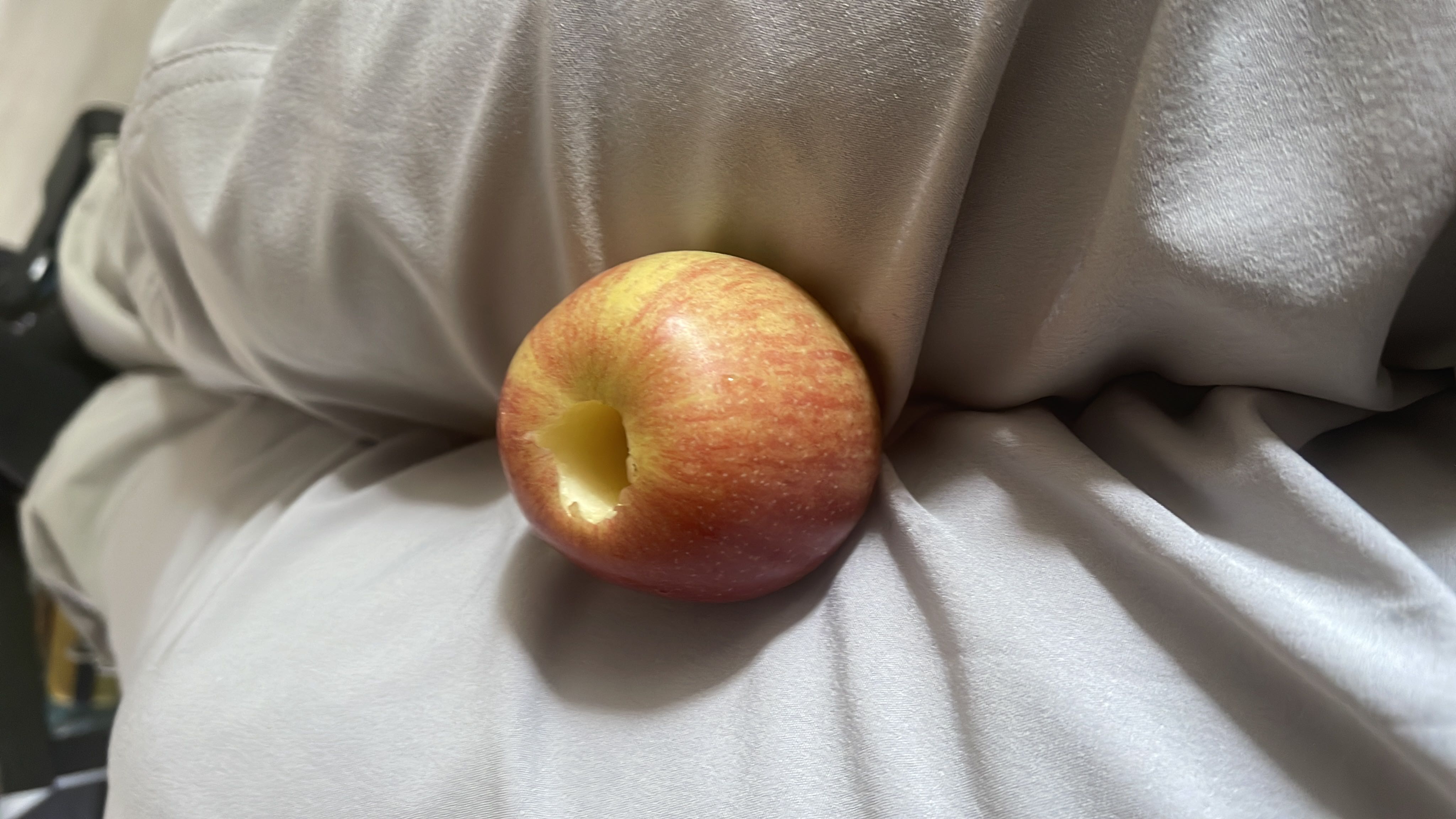 The image shows an apple, which is a nutritious fruit rich in carbohydrates and low in fats and protein.