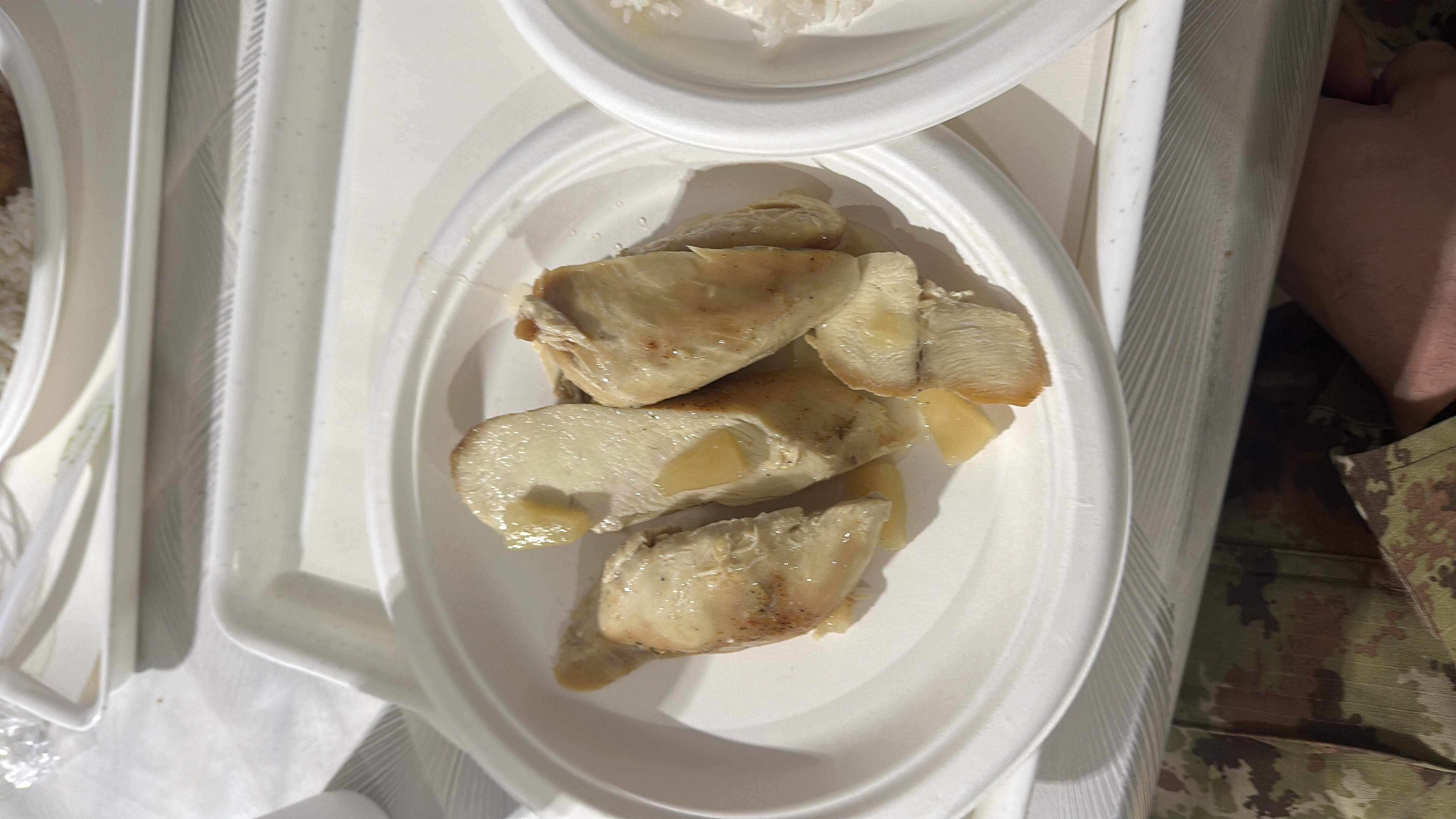 A plate of cooked chicken breast with onion slices, low in carbs and fats, high in protein.