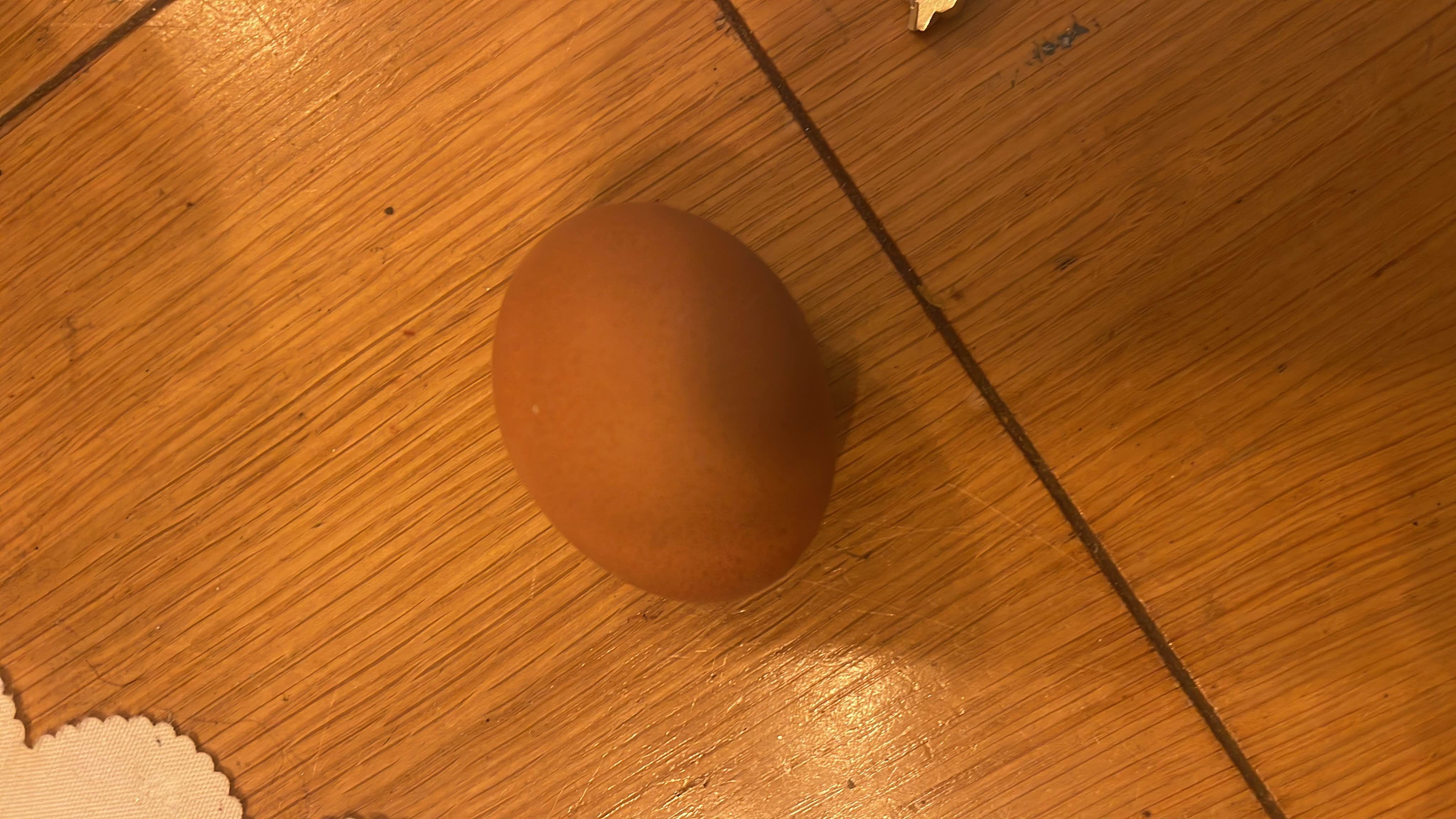 The image shows a single egg, which is a nutrient-dense food containing protein, fats, and minimal carbohydrates.