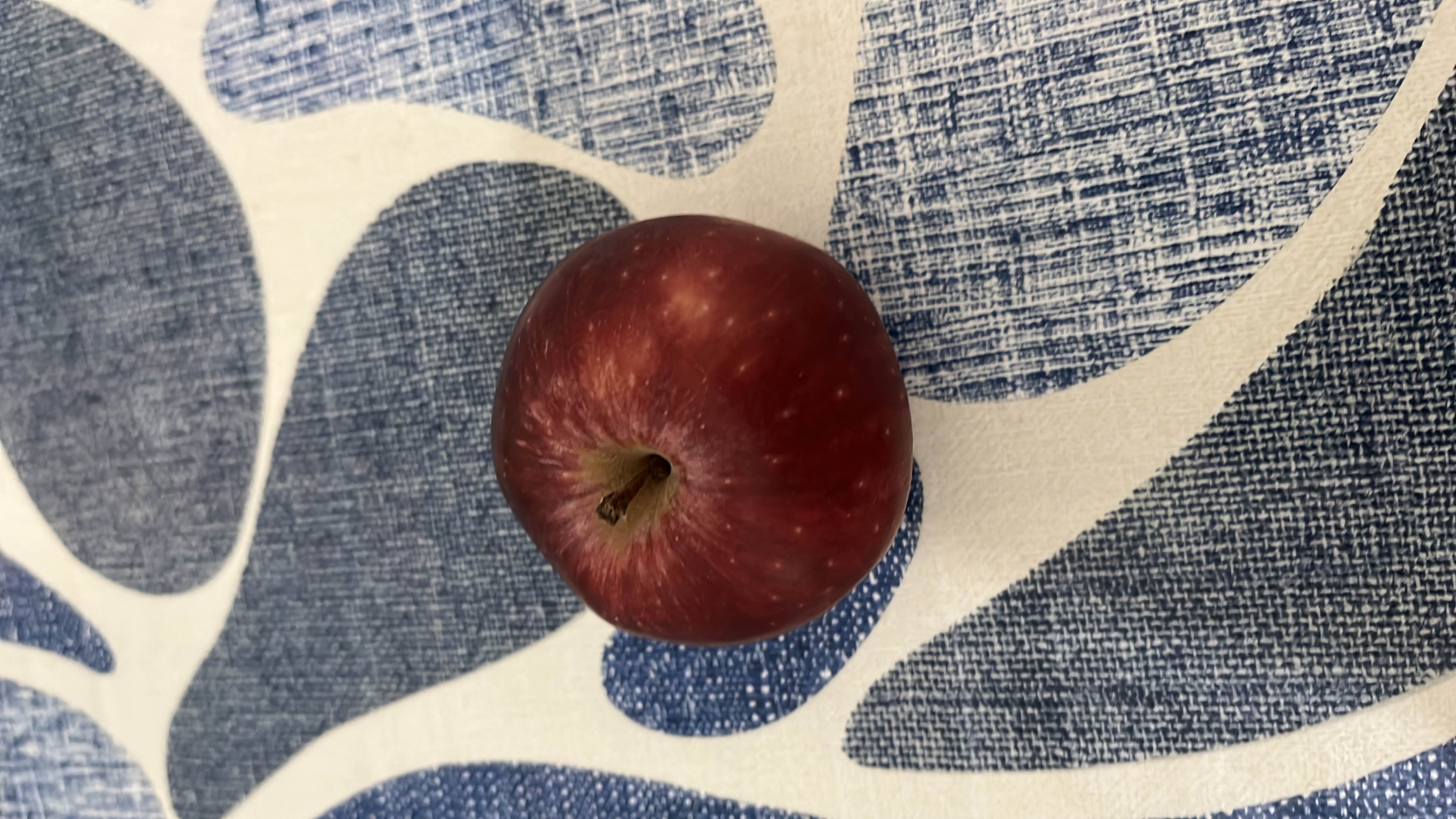 The image shows a red apple, which is a nutritious fruit rich in carbohydrates and low in fats and protein.