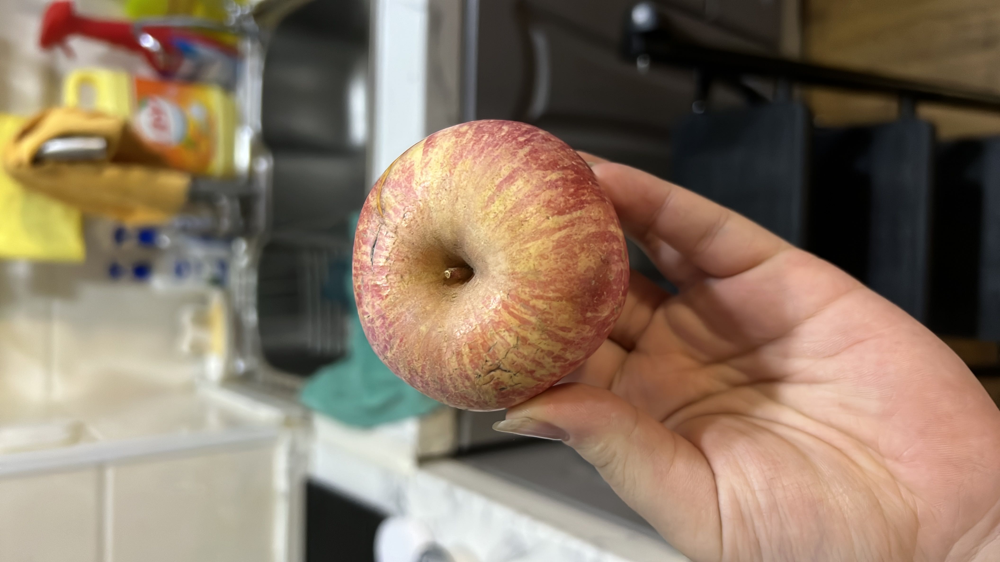 The image shows a fresh apple, which is a nutritious fruit rich in carbohydrates and low in fats and protein.