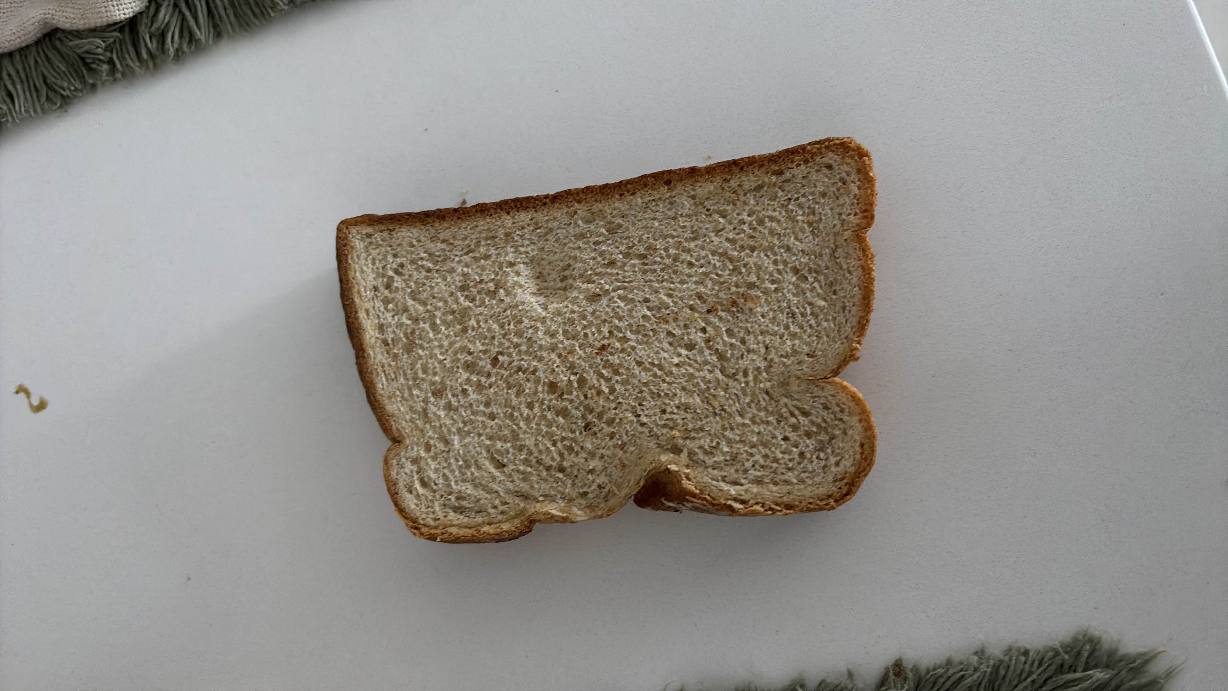 A single slice of whole wheat bread, providing a moderate amount of calories, carbohydrates, and minimal fats and protein.
