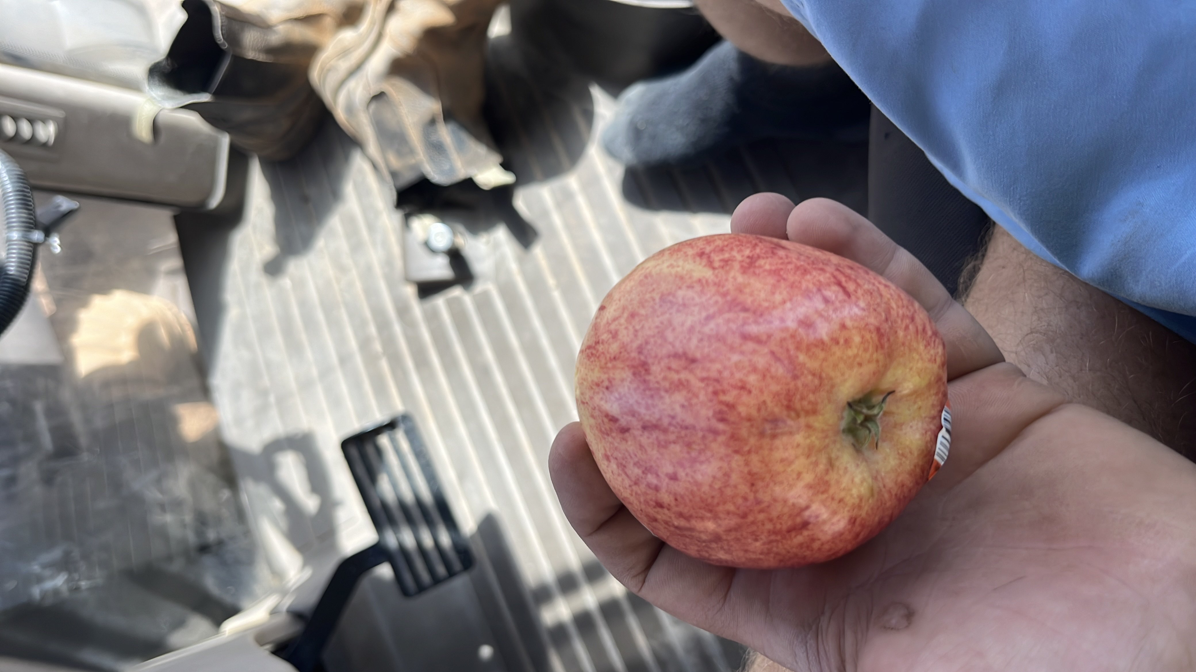 The image shows an apple, which is a nutritious fruit rich in carbohydrates and low in fats and protein.