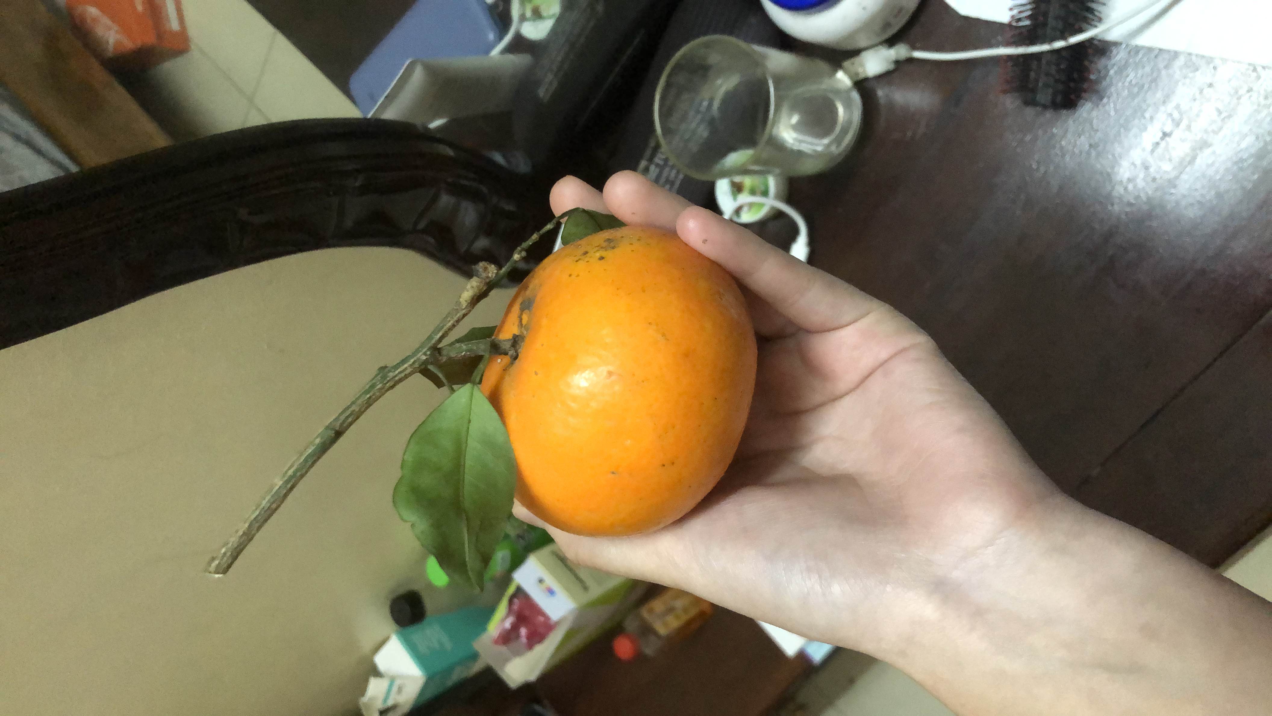 The image shows a fresh orange, which is a low-calorie fruit rich in vitamin C and dietary fiber.