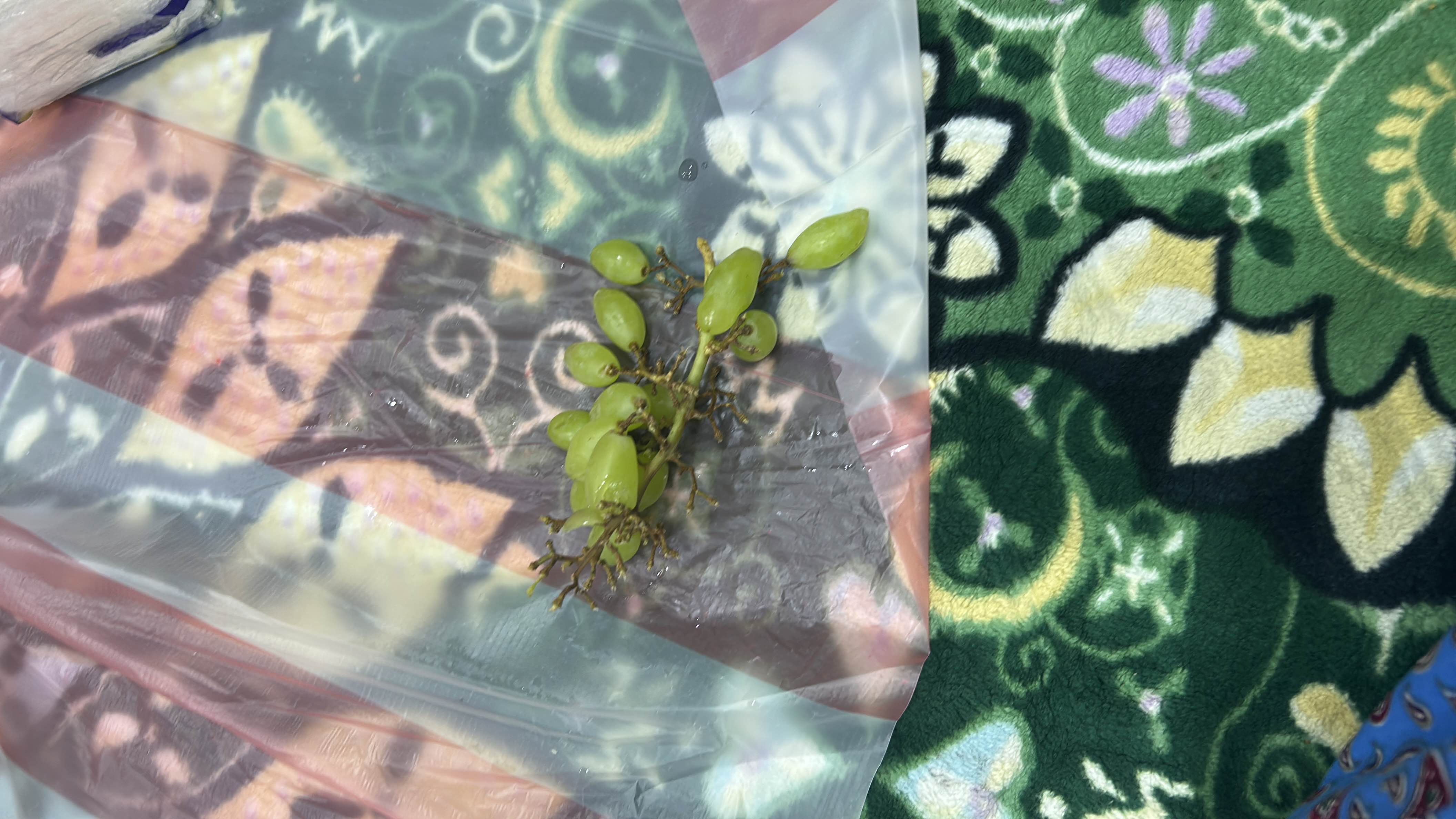 The image shows a small bunch of green grapes, which are low in calories and fats, and a good source of carbohydrates.