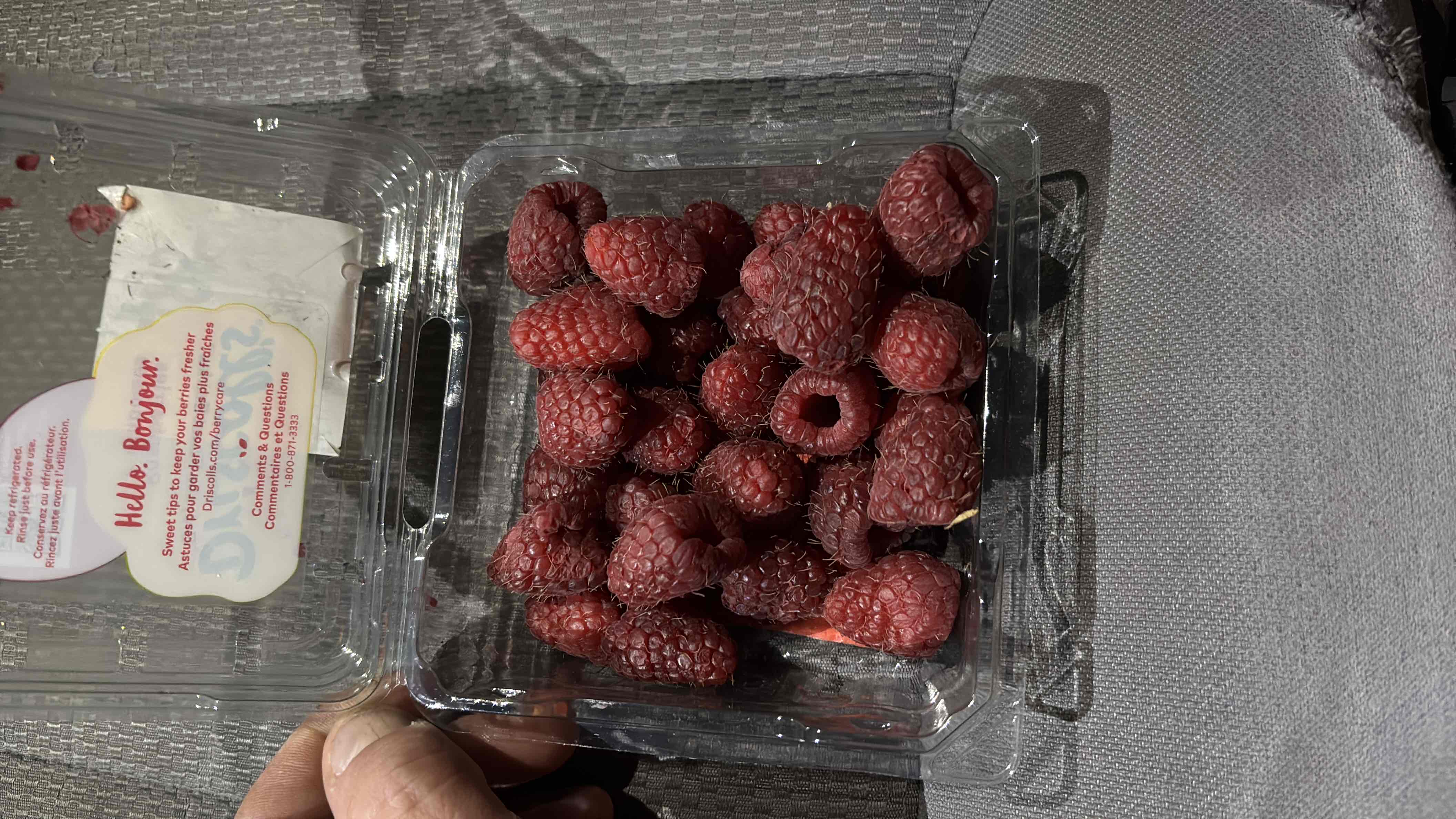 A container of fresh raspberries, a low-calorie fruit rich in vitamins and antioxidants.