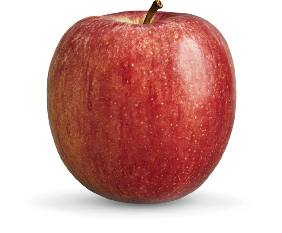 A fresh red apple, a nutritious fruit rich in carbohydrates and low in fats and protein.