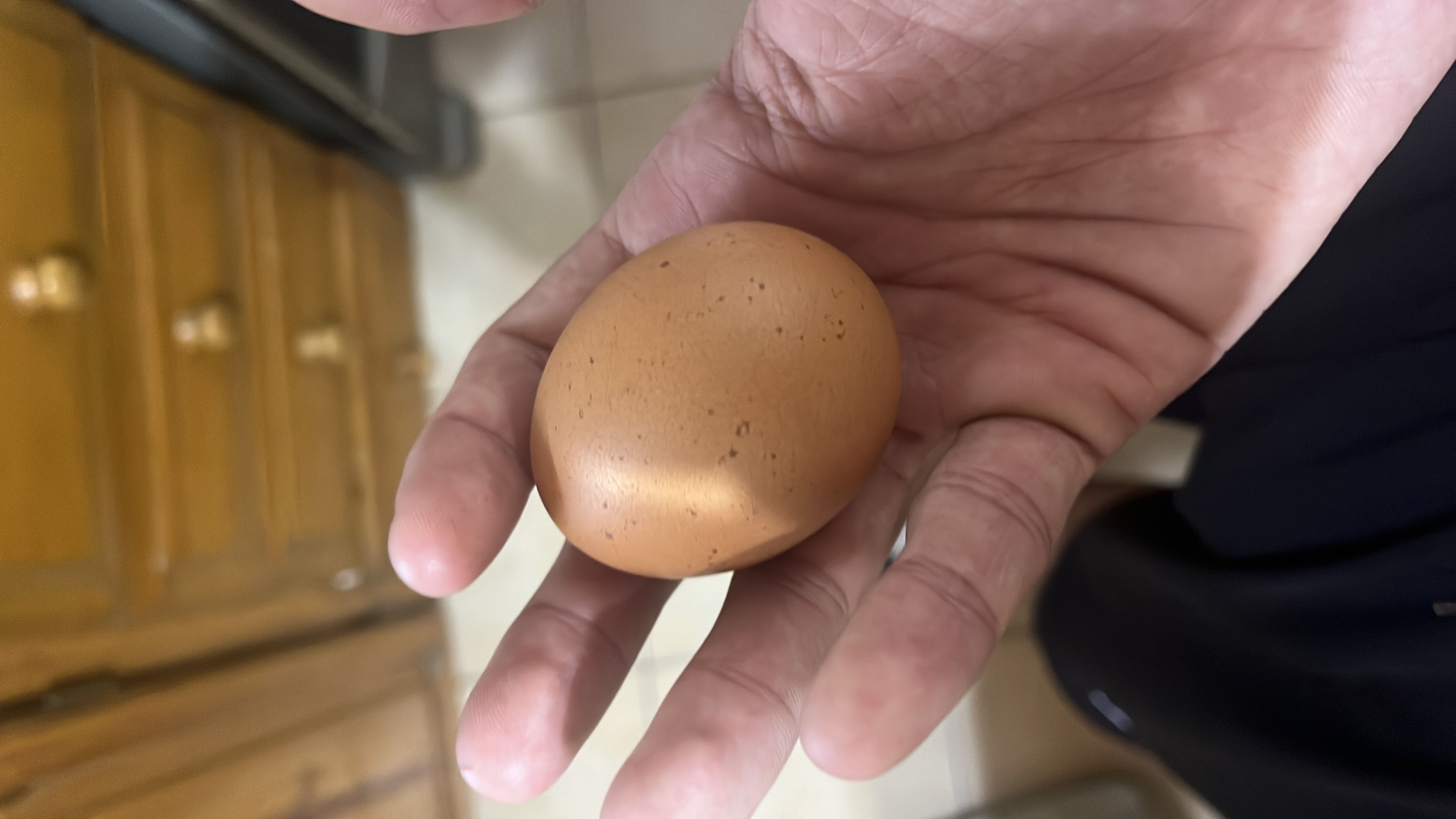 The image shows a single egg, which is a nutrient-dense food containing protein, fats, and minimal carbohydrates.