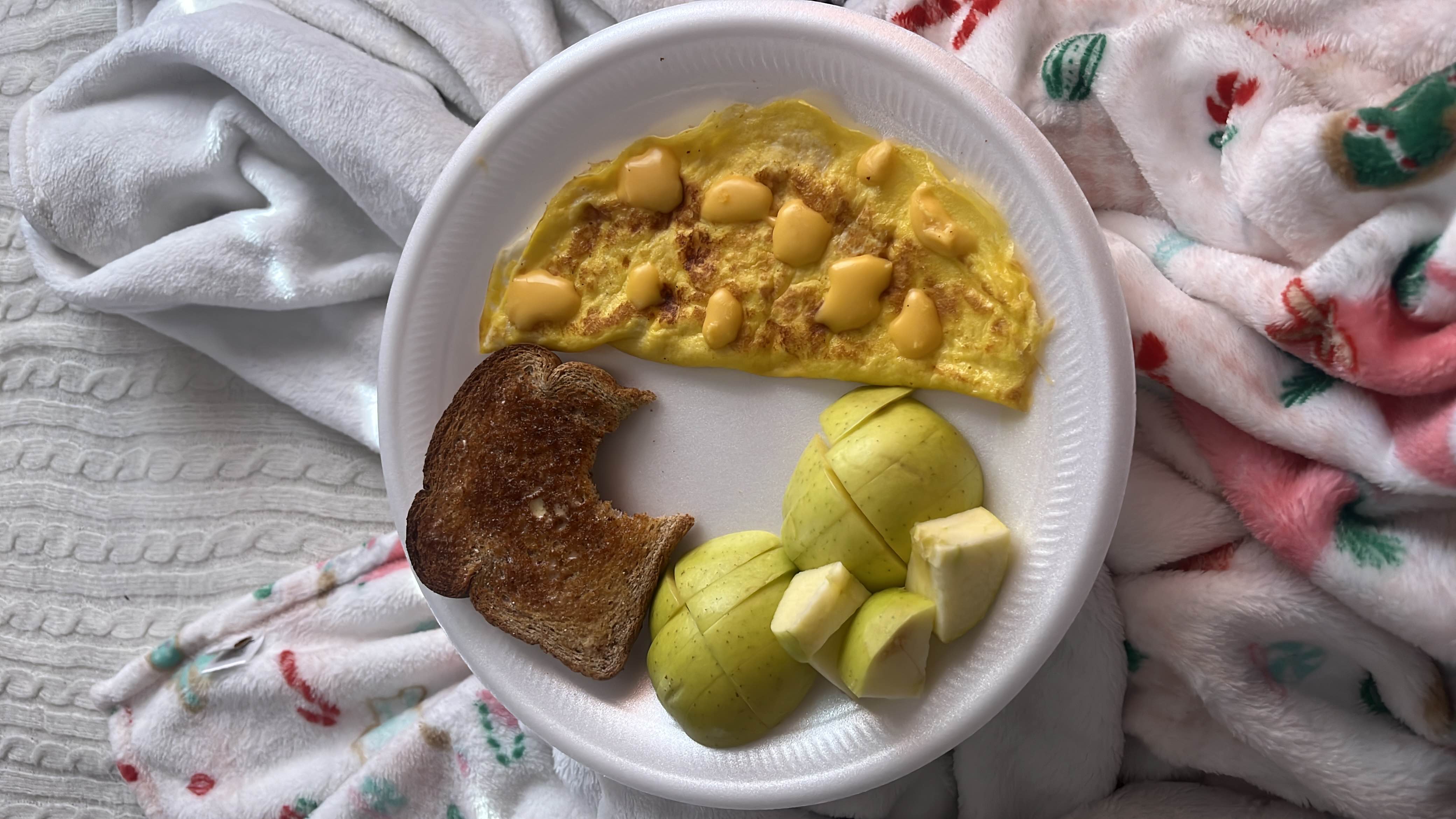 A balanced breakfast plate containing an egg omelette with cheese, apple slices, and a piece of toast.