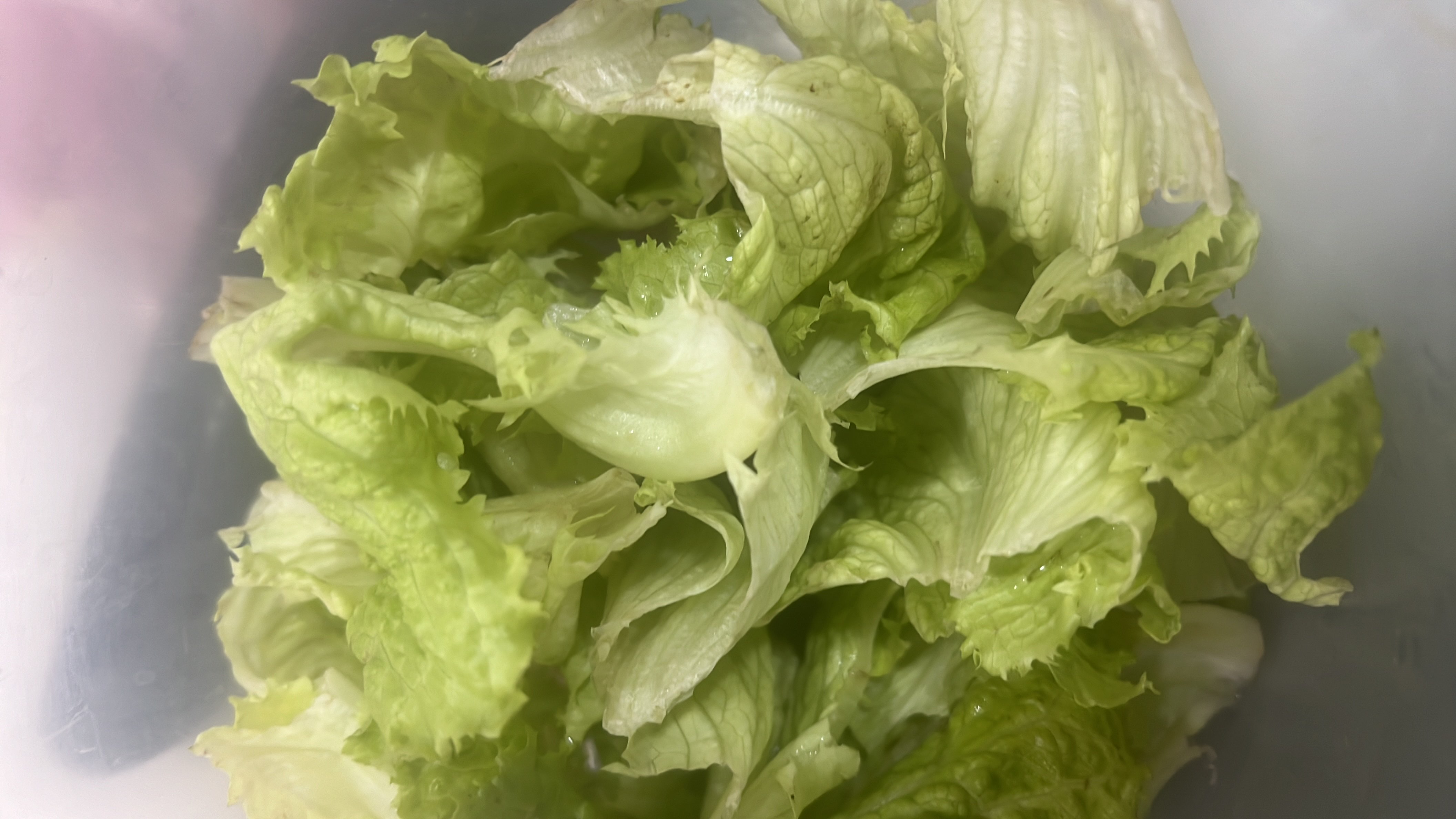 The image shows fresh lettuce, a low-calorie leafy vegetable rich in water content and essential nutrients.