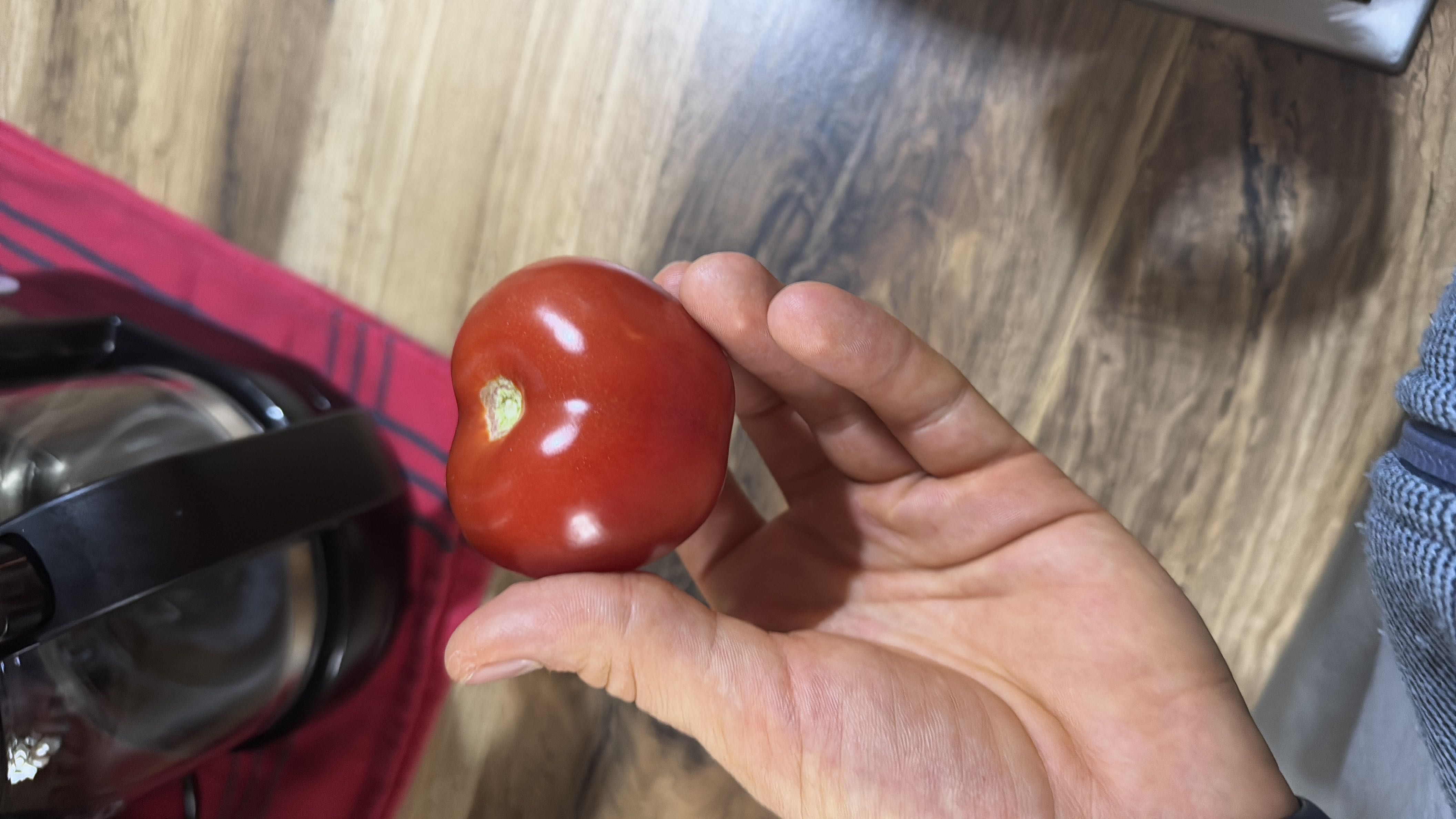 The image shows a fresh tomato, which is low in calories, rich in vitamins, and a healthy ingredient.