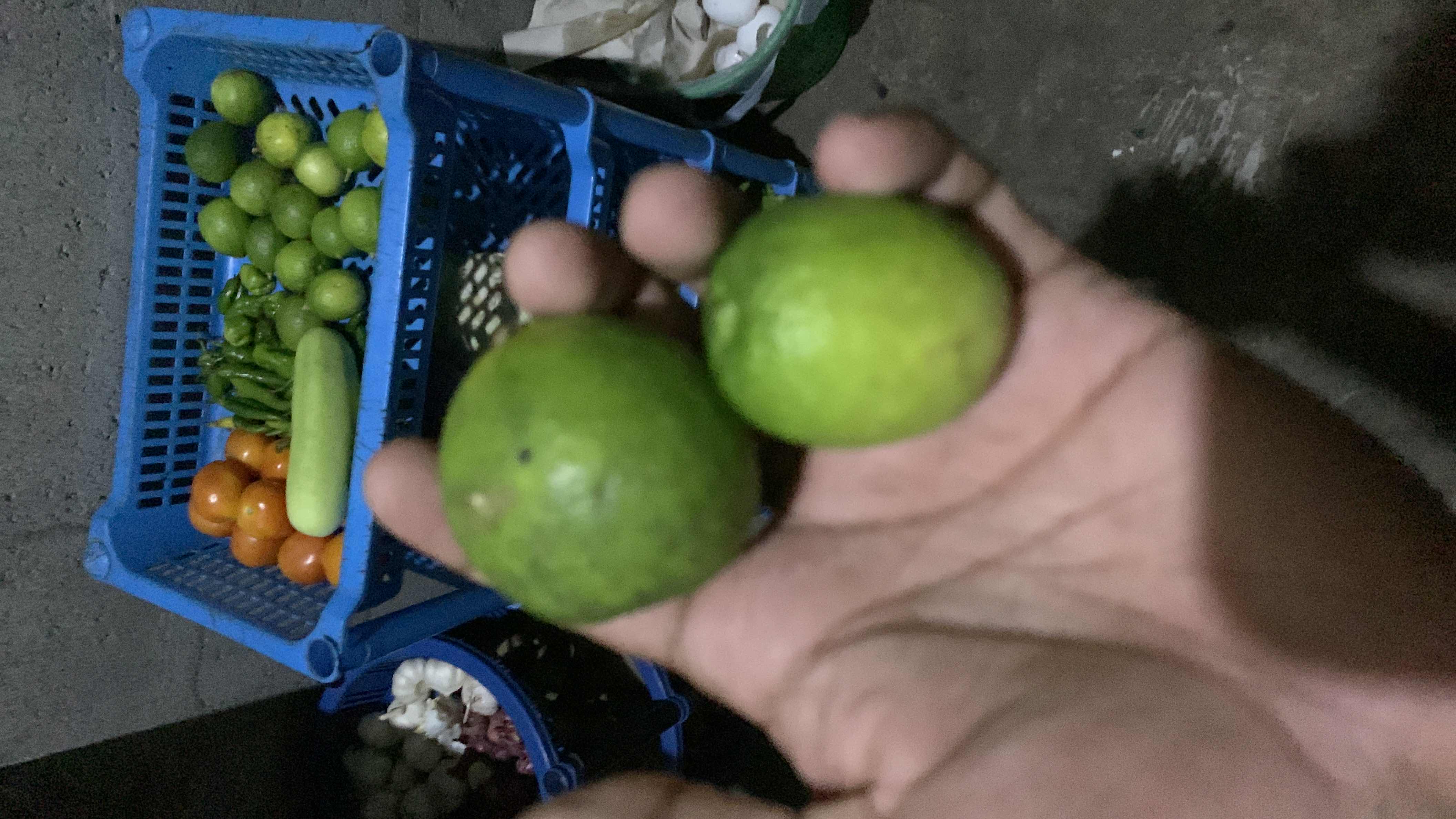 The image shows a variety of fresh vegetables including limes, tomatoes, green chilies, and a bottle gourd, which are low in calories and rich in nutrients.