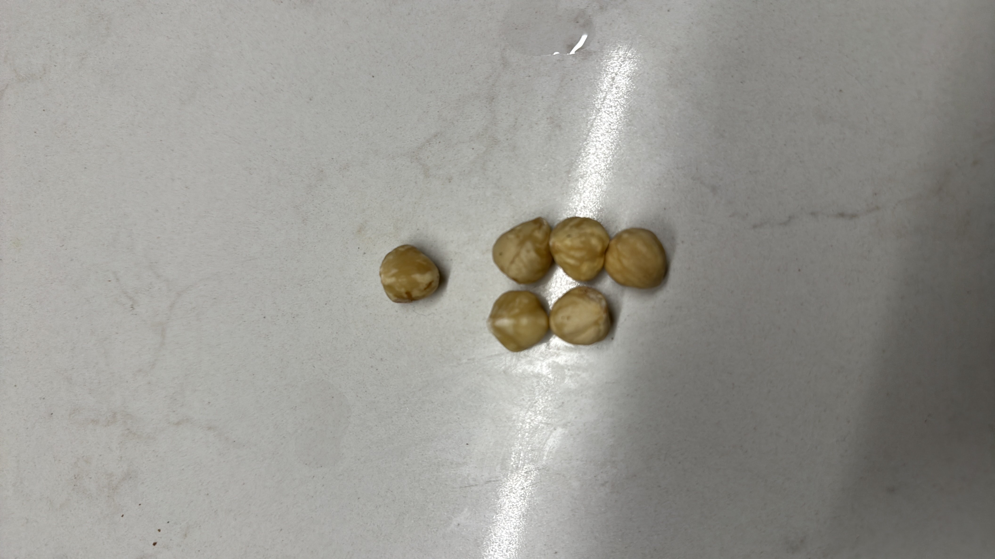 The image shows a small portion of hazelnuts, which are nutrient-dense and provide healthy fats, protein, and carbohydrates.