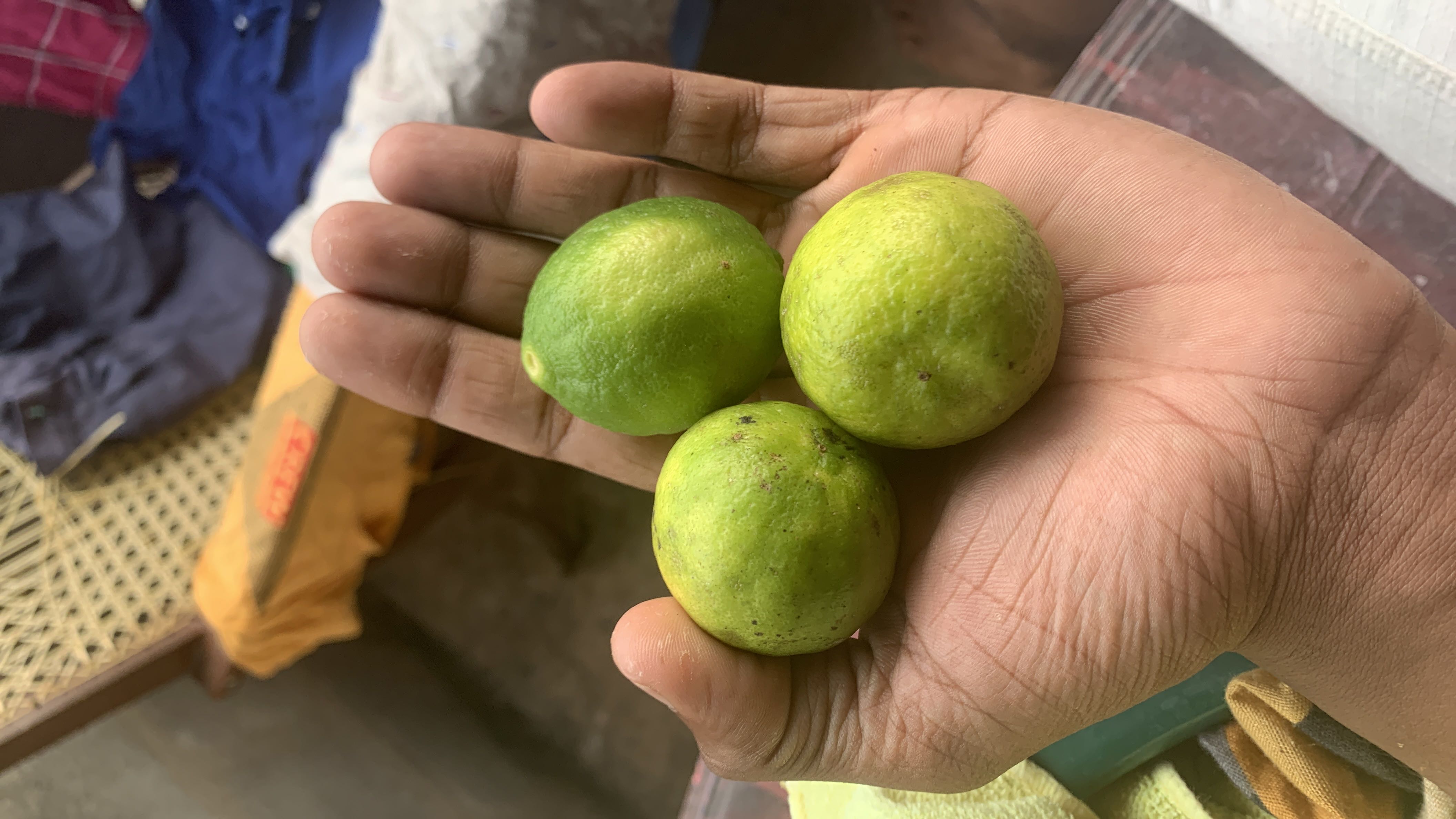 The image shows three fresh limes, which are low in calories and rich in vitamin C, making them a healthy ingredient.