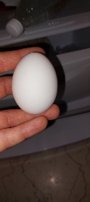 The image shows a single egg, which is a nutrient-dense food containing protein, fats, and minimal carbohydrates.