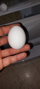 The image shows a single egg, which is a nutritious food item rich in protein and healthy fats.