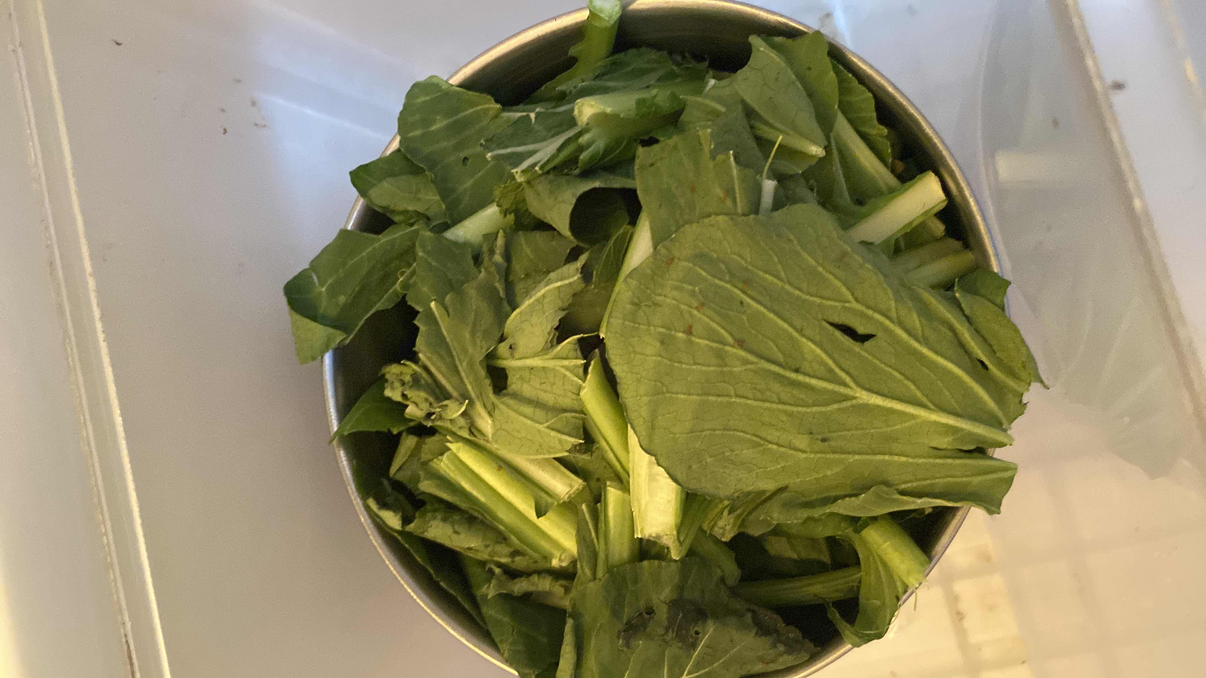 A bowl of fresh leafy greens, low in calories and fats, rich in nutrients, and ideal for a healthy diet.