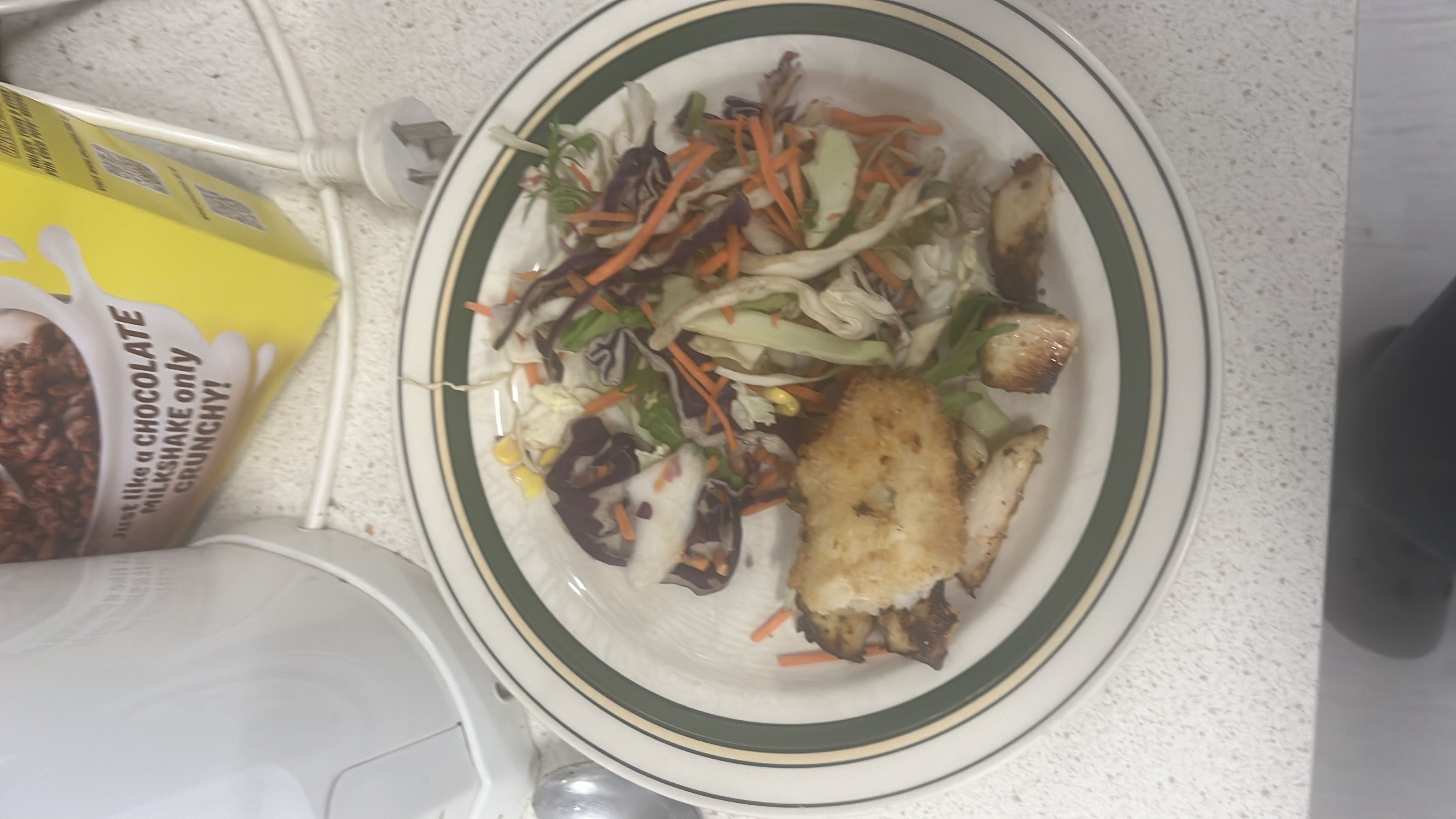 A plate of grilled chicken served with a mixed salad containing carrots, cabbage, and corn, accompanied by a light dressing.