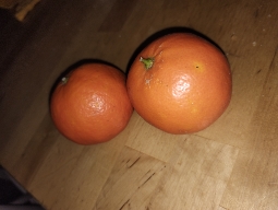 The image shows two oranges, which are low-calorie fruits rich in vitamin C and dietary fiber.