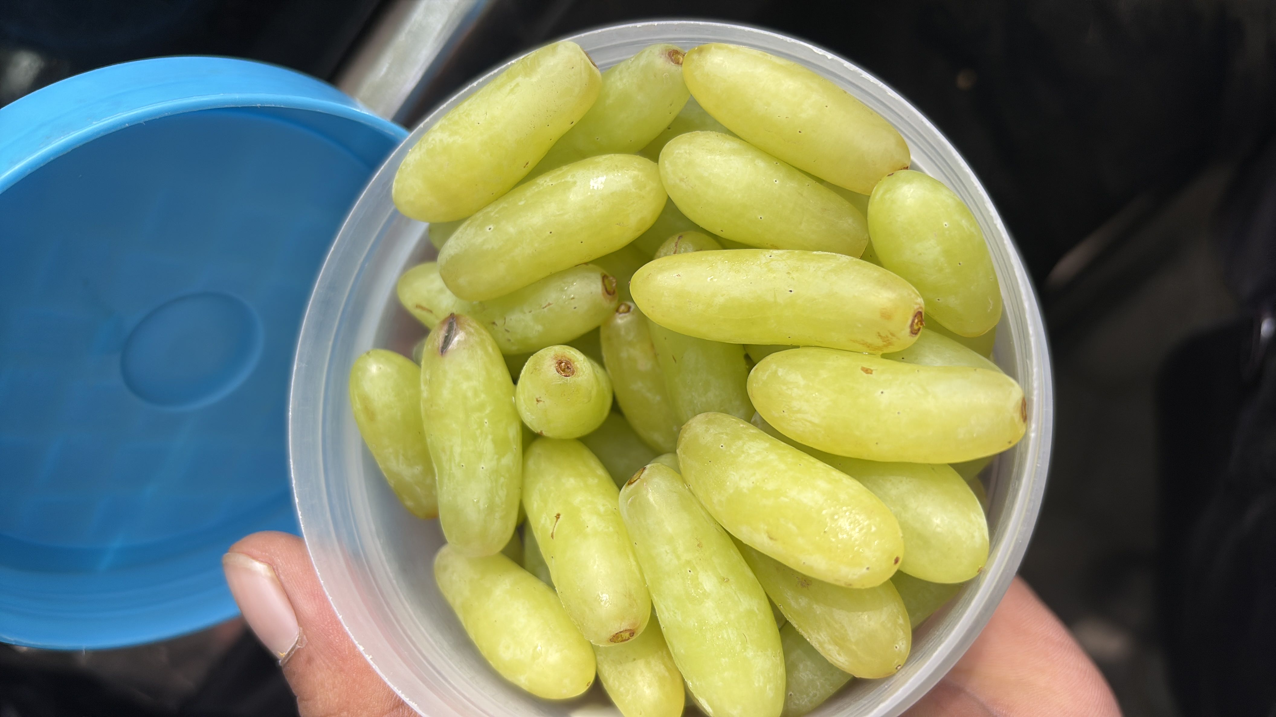 A container of fresh green grapes, a low-calorie fruit rich in carbohydrates and minimal protein.