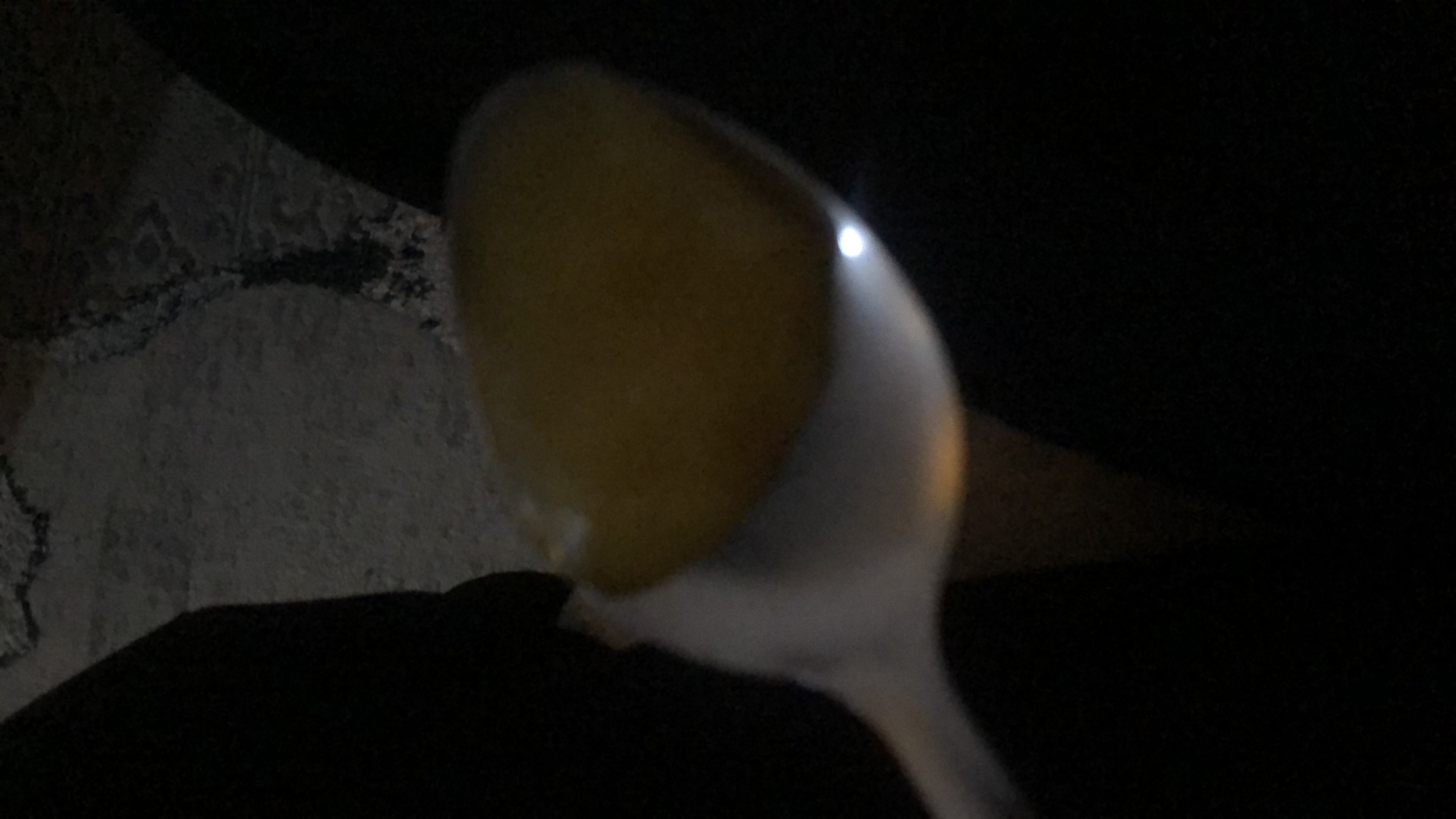 The image shows a spoon containing a serving of apple sauce, which is a low-calorie food with minimal protein and fat content.