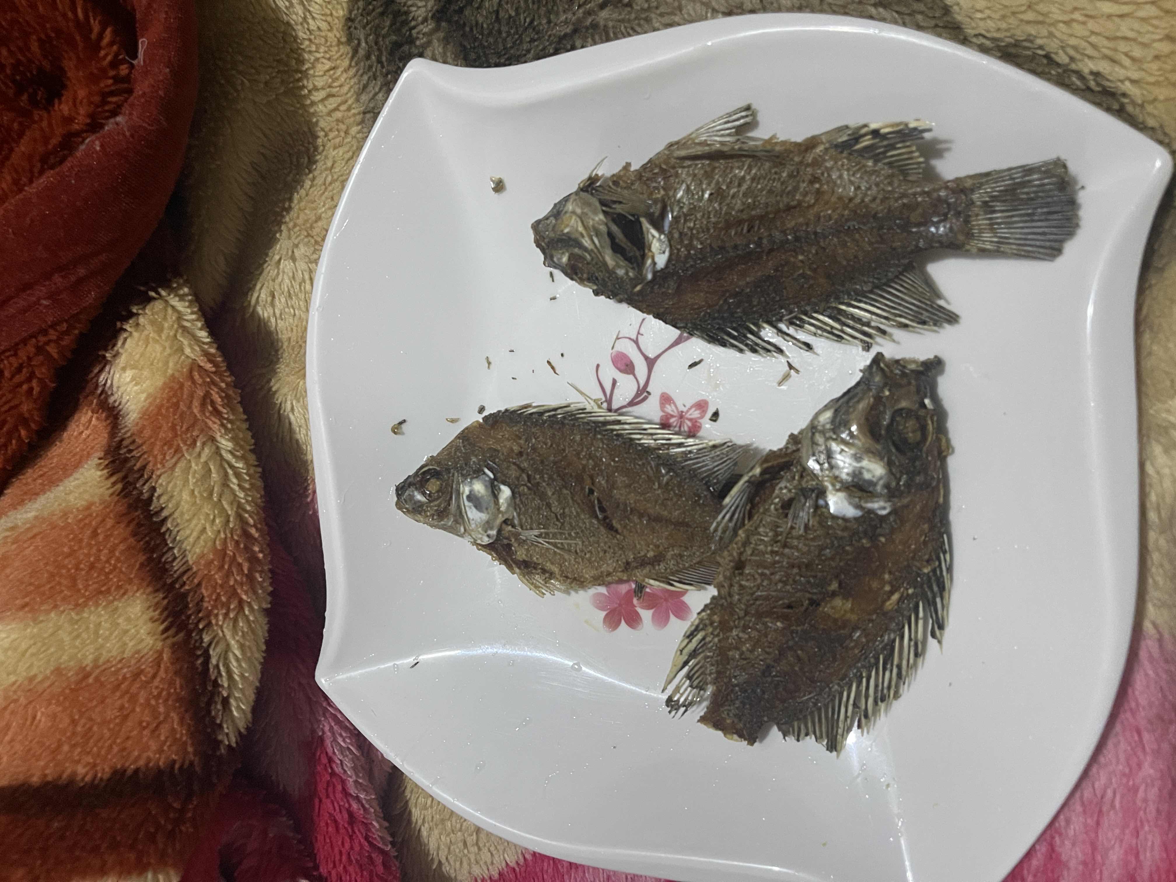 The image shows a plate of fried fish, which is a high-protein, low-carb dish with moderate fat content.