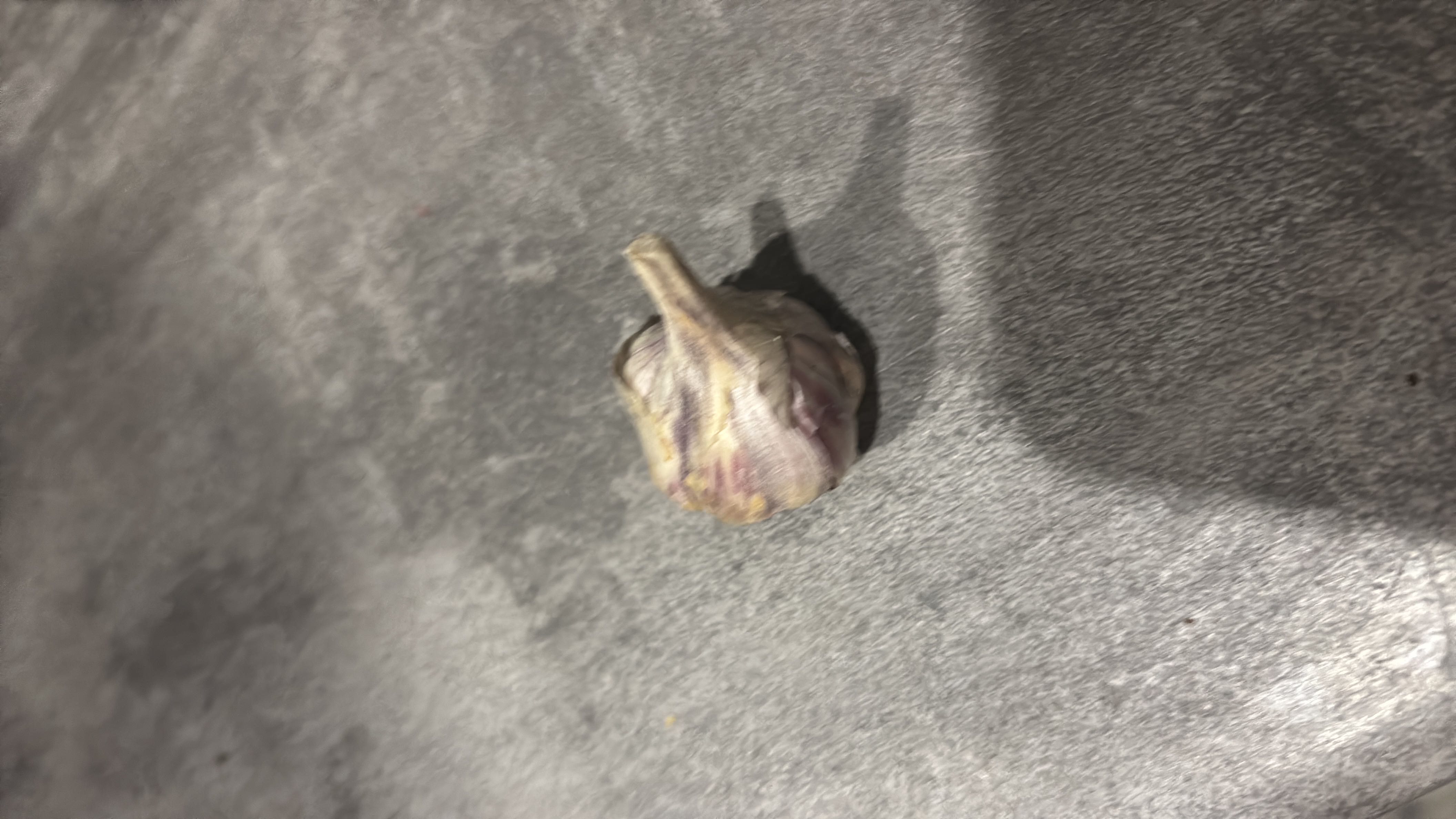 The image shows a single bulb of garlic, which is low in calories and contains minimal protein, carbs, and fats. Garlic is known for its health benefits and is commonly used as a flavoring ingredient.