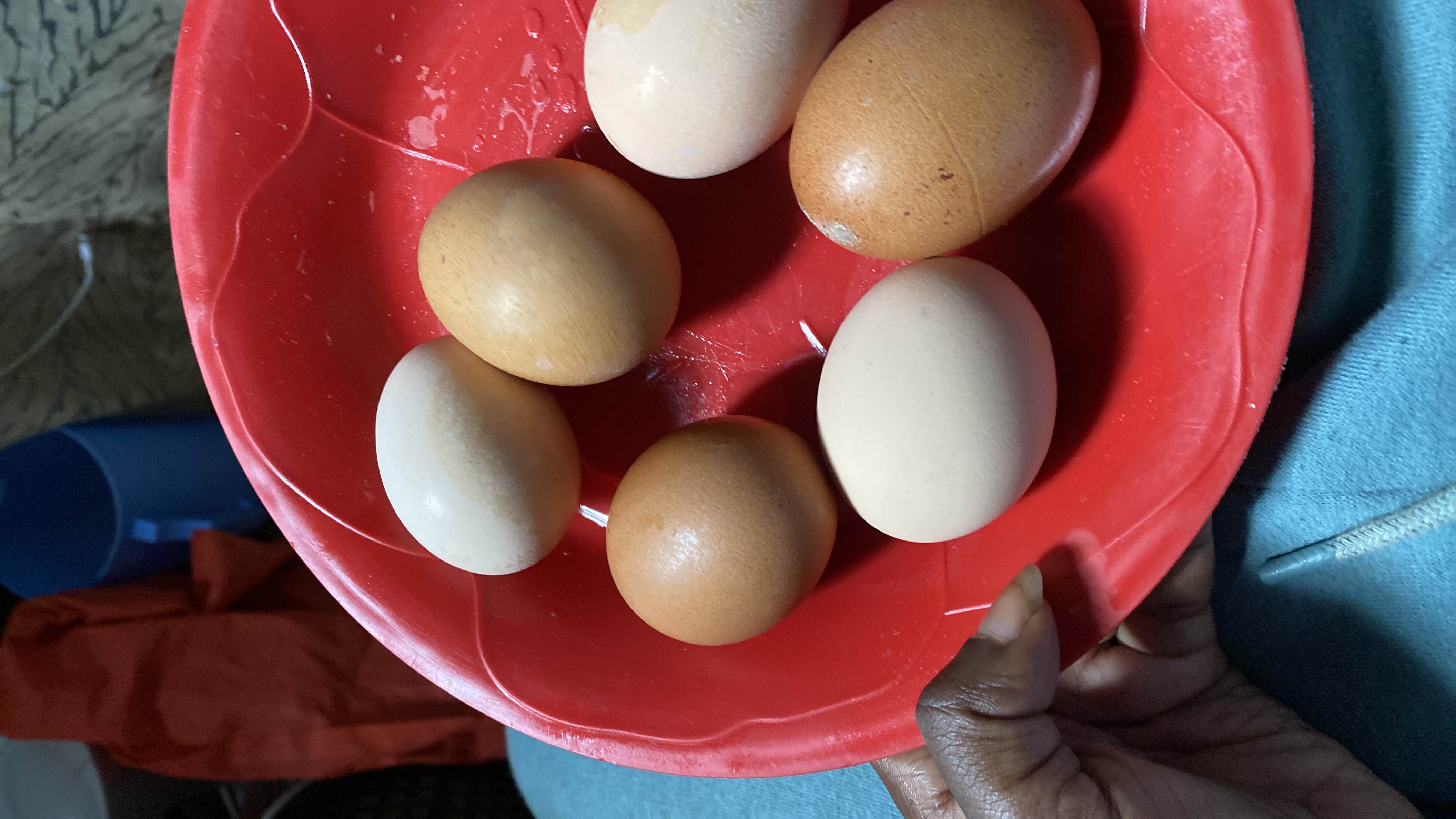 A bowl containing six eggs, which are a high-protein, low-carb food with moderate fat content.