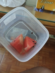 The image shows two slices of watermelon in a plastic container, which is a low-calorie, hydrating fruit.