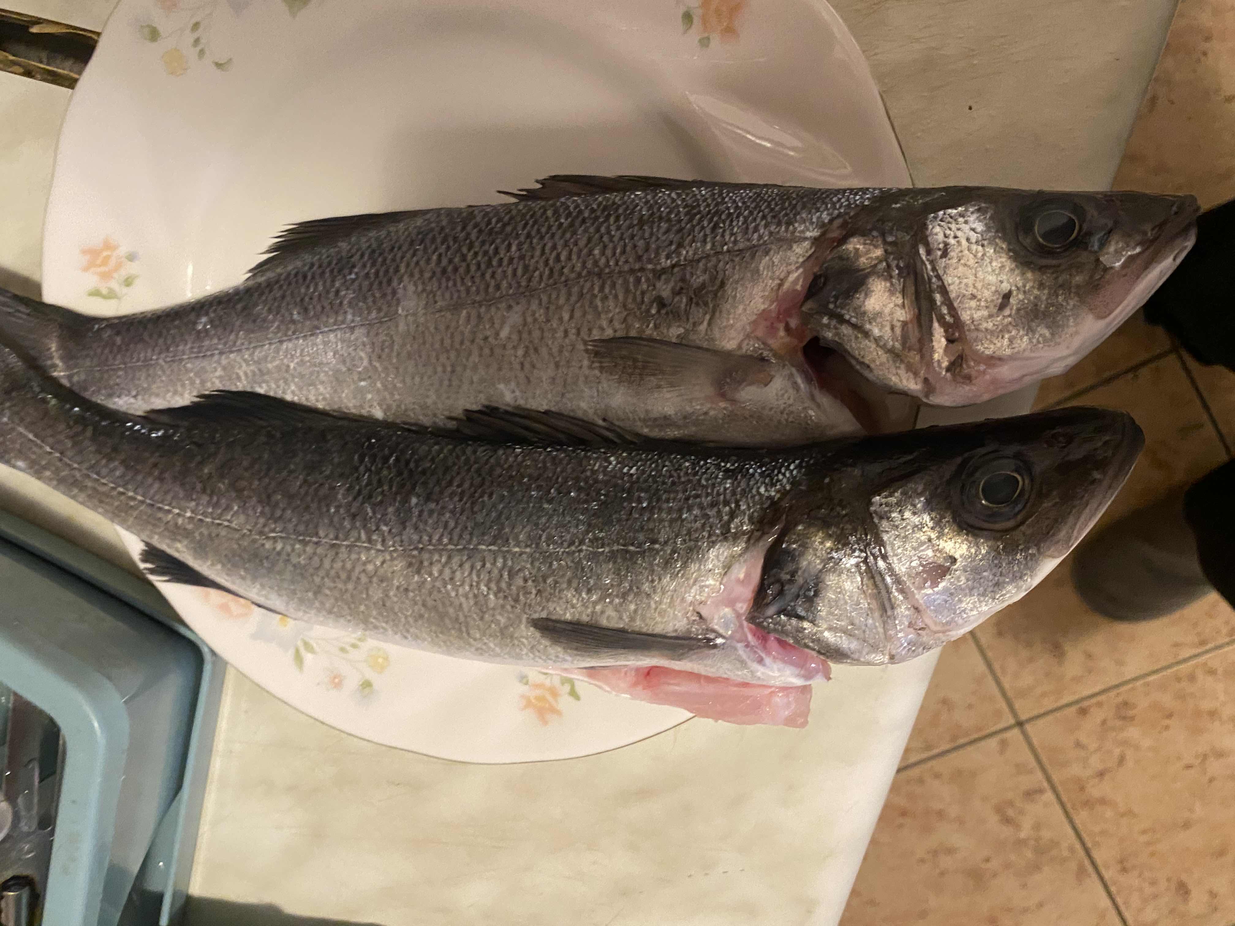 The image shows two fresh sea bass fish, which are high in protein, low in fats, and contain no carbohydrates.