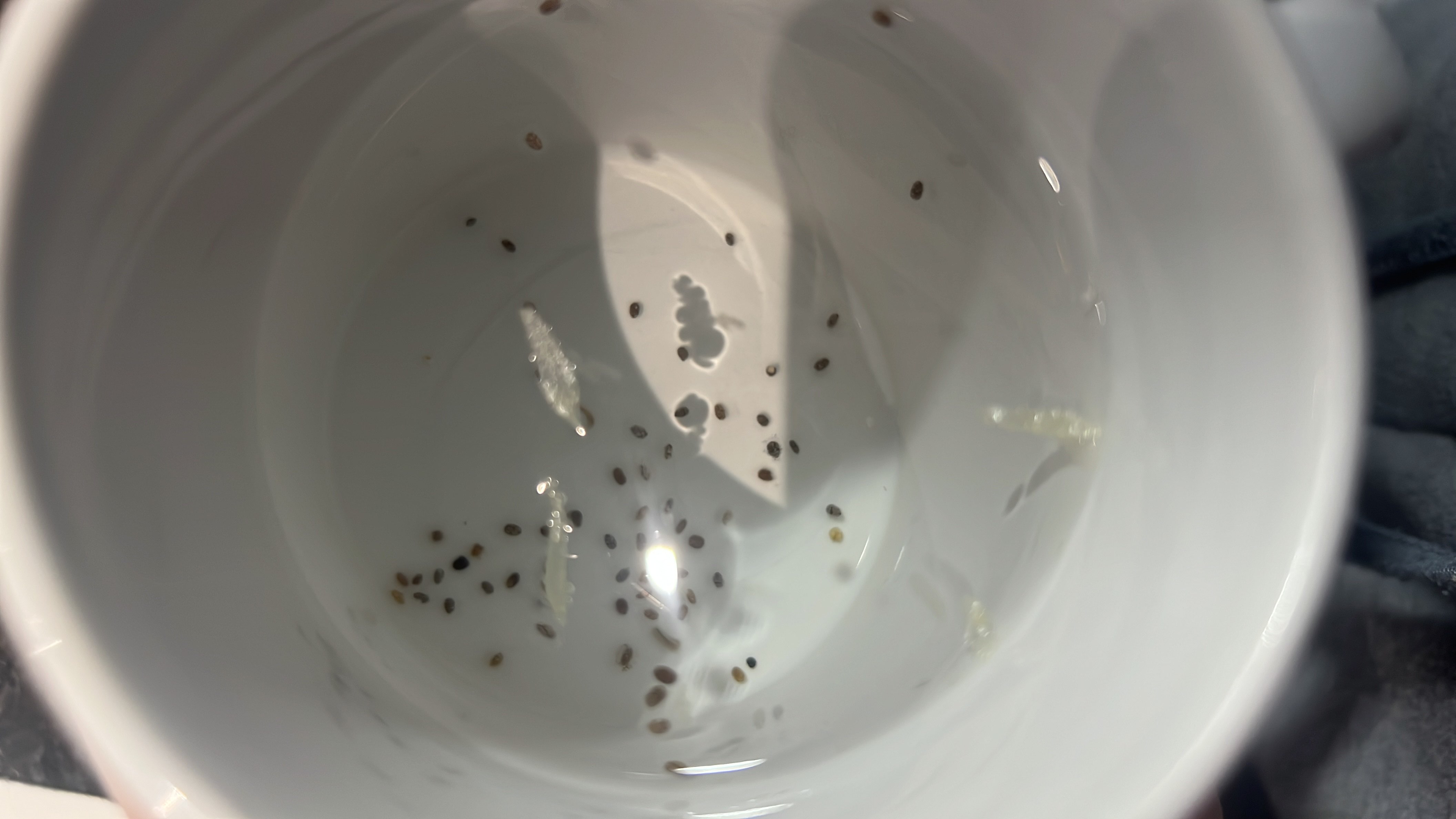 The image shows a cup containing water with scattered chia seeds, which are low in calories and provide minimal nutritional content in this context.